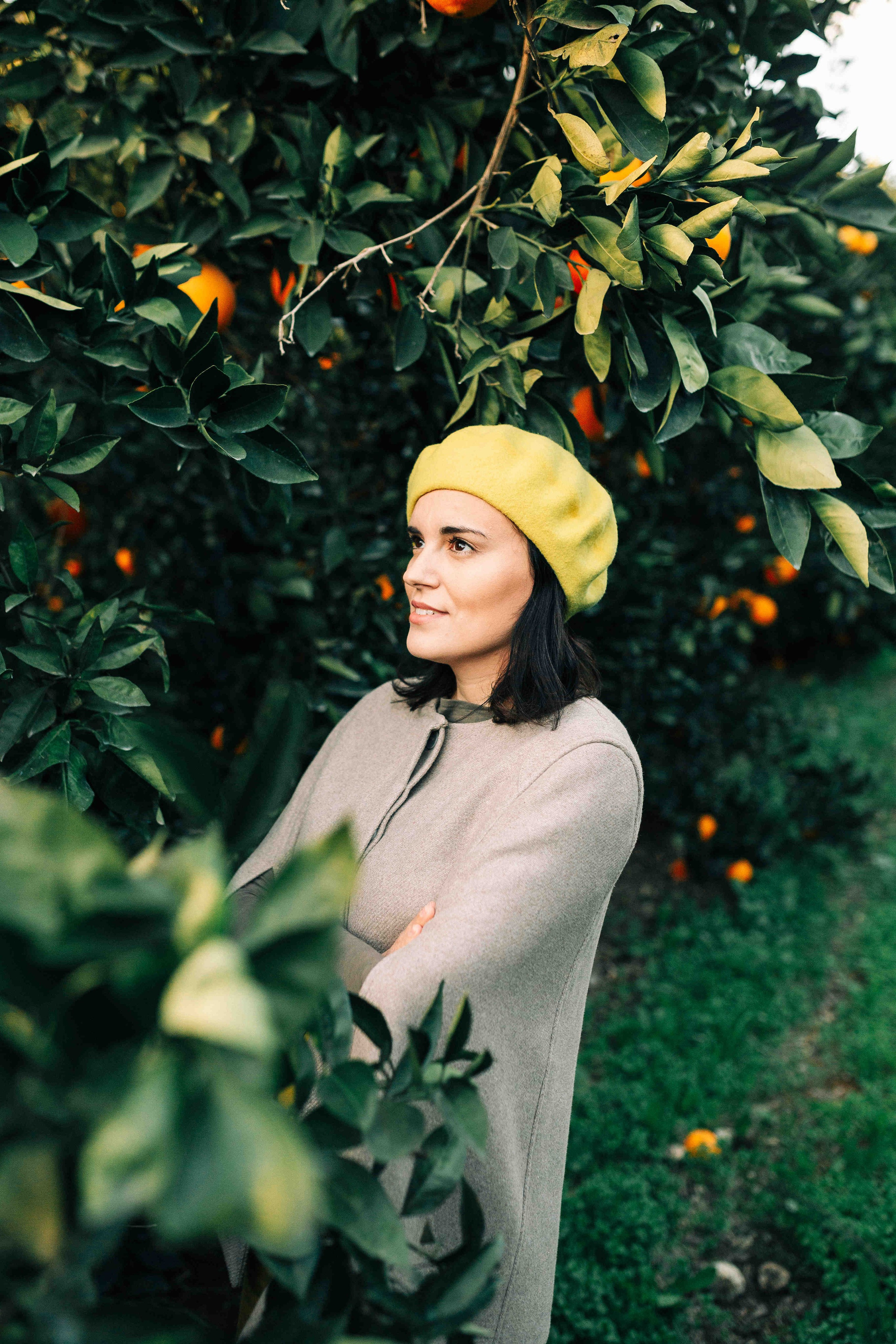 MANDARNINE GARDEN. Https://shi-photo.com/