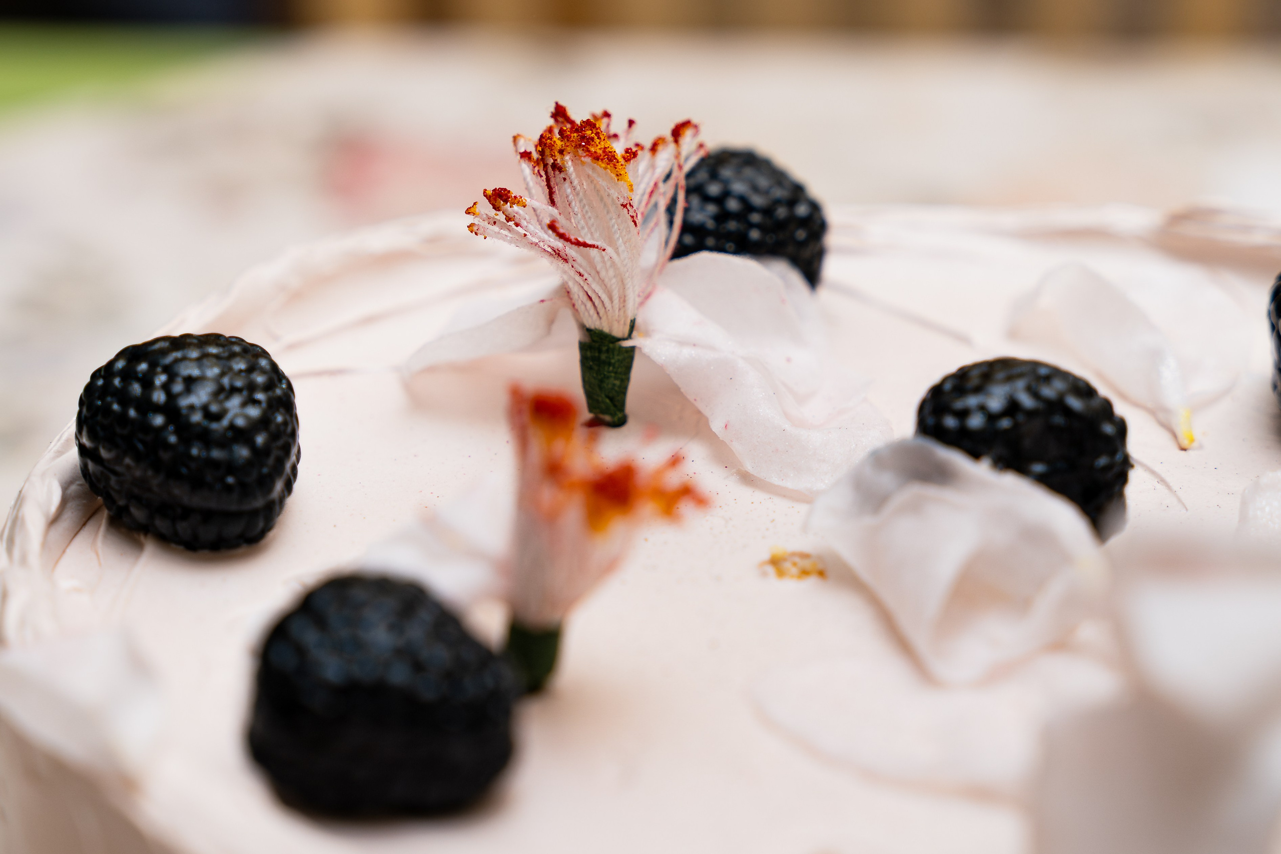 WEDDING. Profesionalna Fotografija Beograd — Staša Komatina