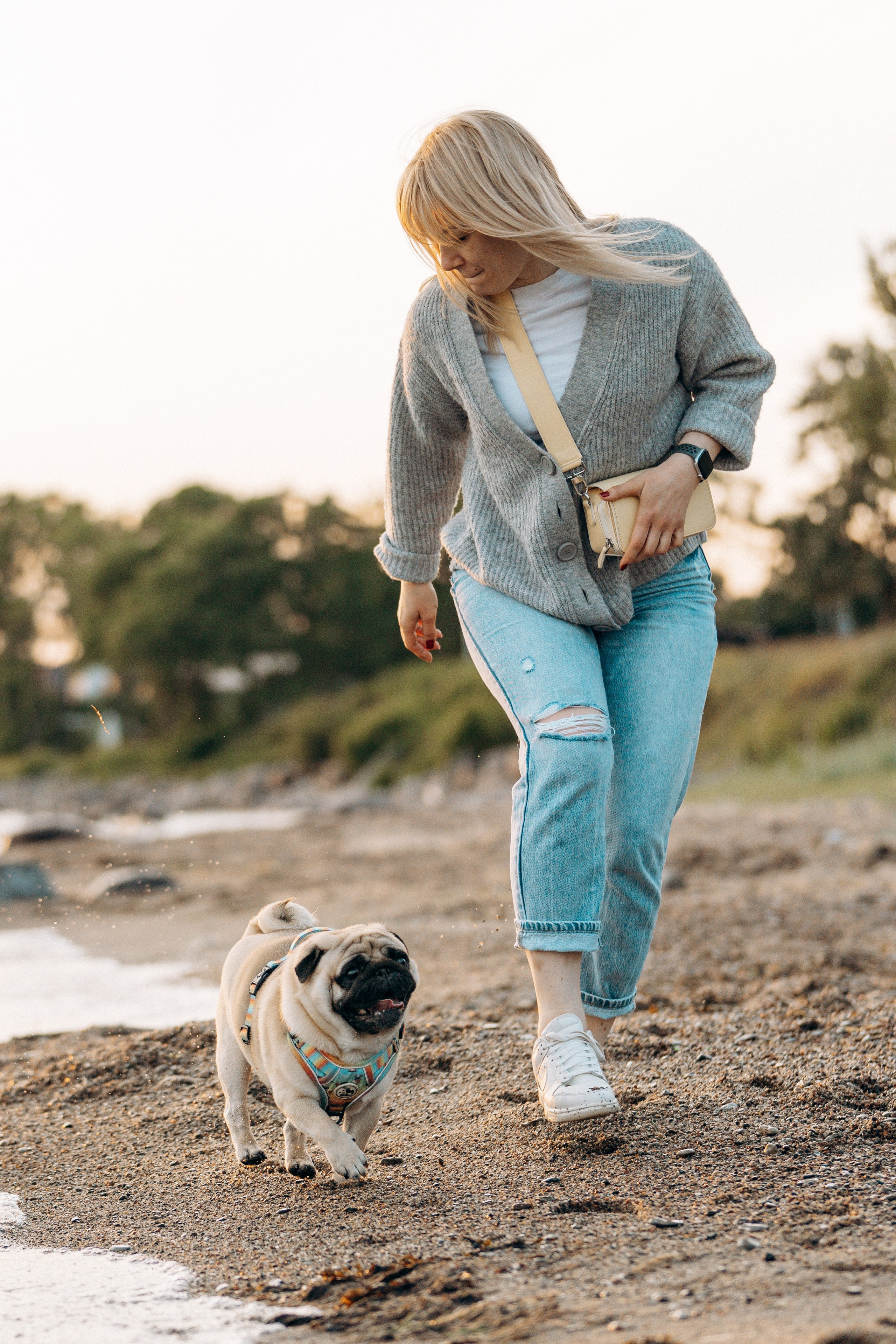 Frank, Tony, Katerina & Lev. Kat Laisaar — Pet photographer in Tallinn