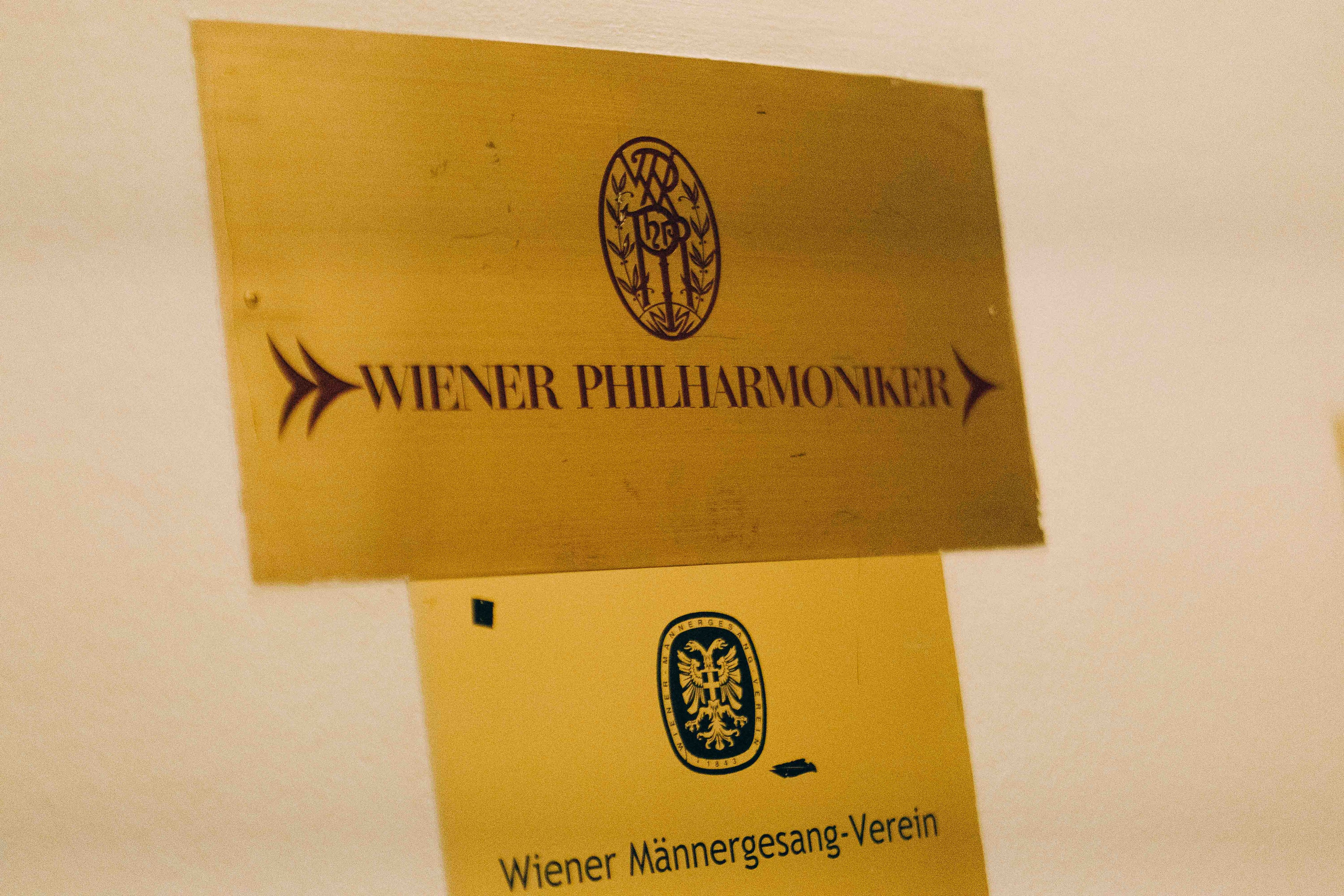 MUSIKVEREIN (VIENNA). Wedding&Event photographer Ismail Rzayev in Baku