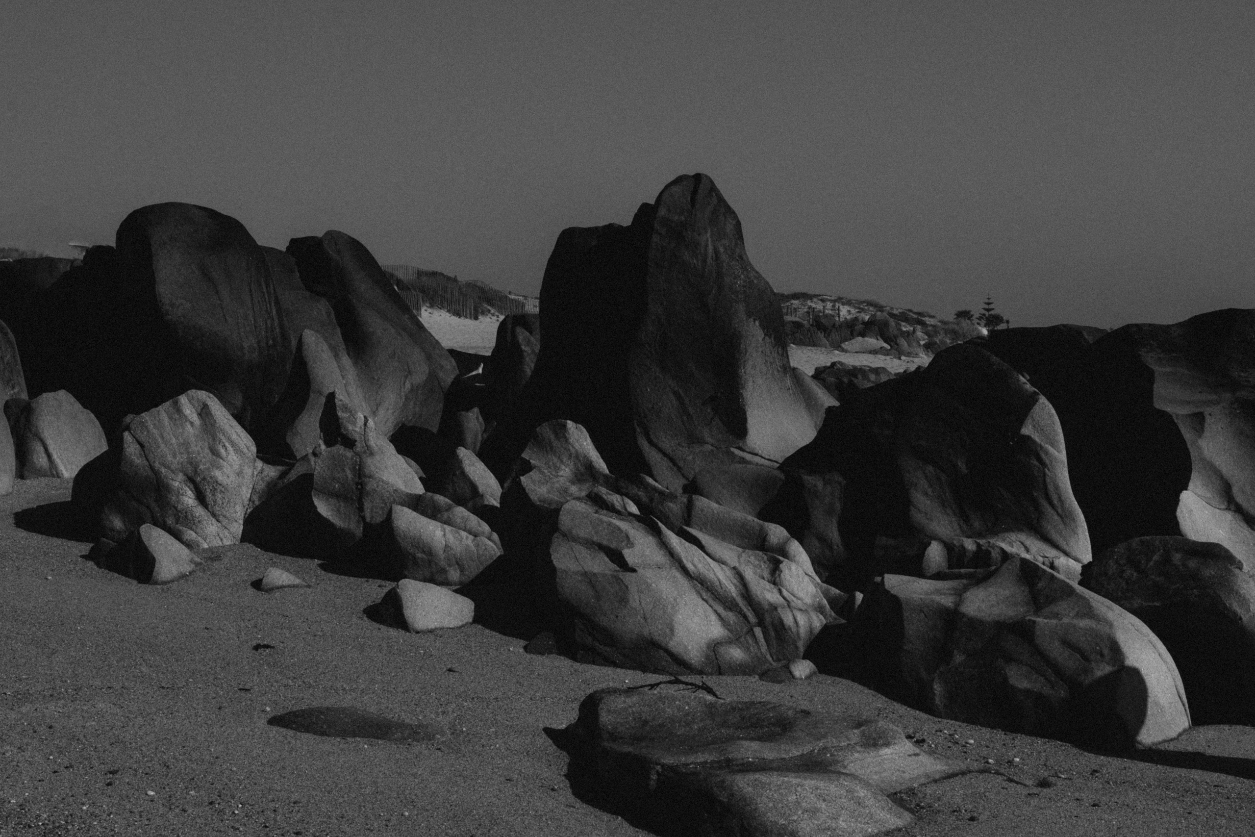 Zuhause im Herzen | Shooting an der Ozeanküste. Fotografin Ansbach - Paare | Hochzeit | After Wedding