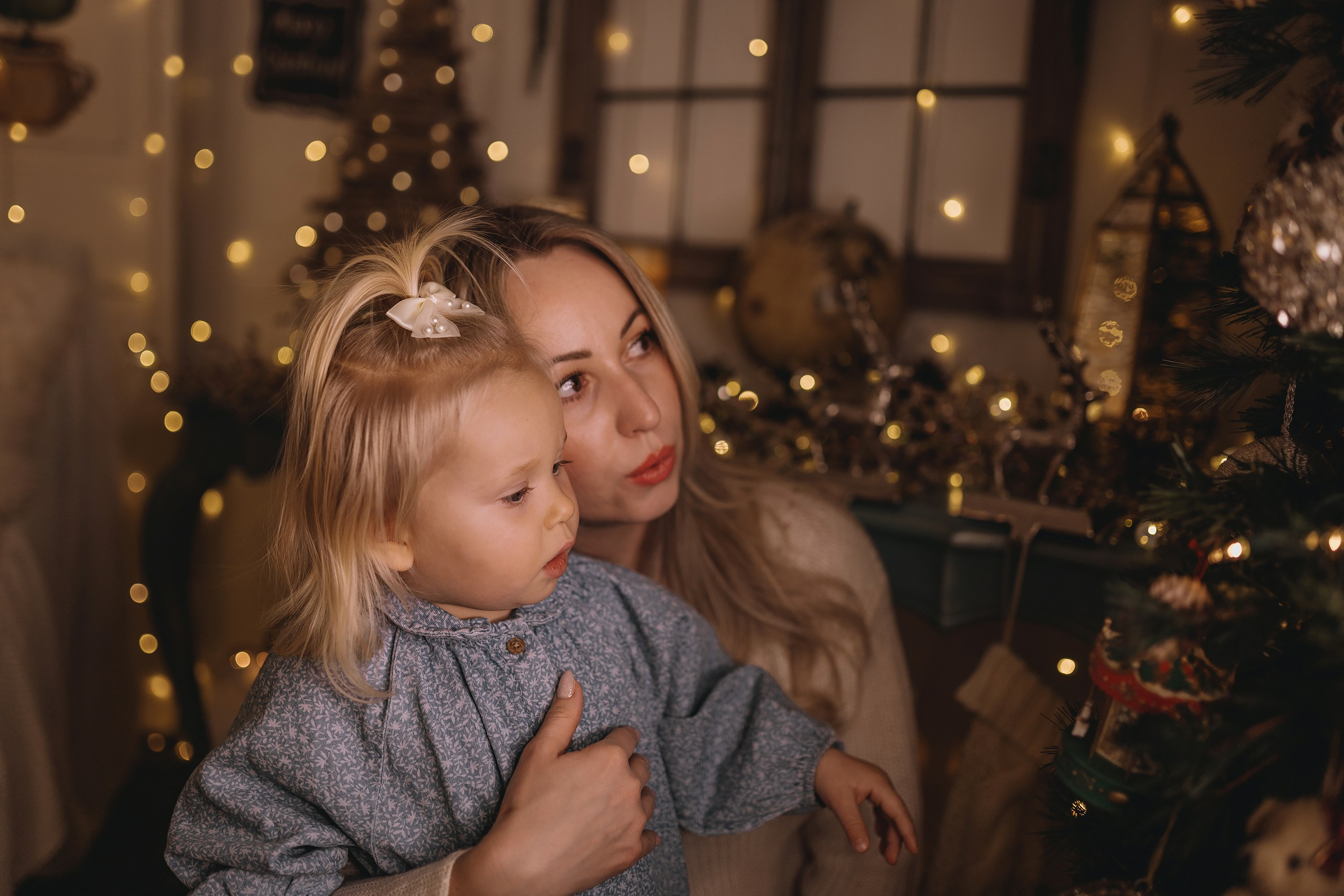 12.08.2025 Christmas Photoshoot. Wedding family event photographer in Chicago Nick Yushevich