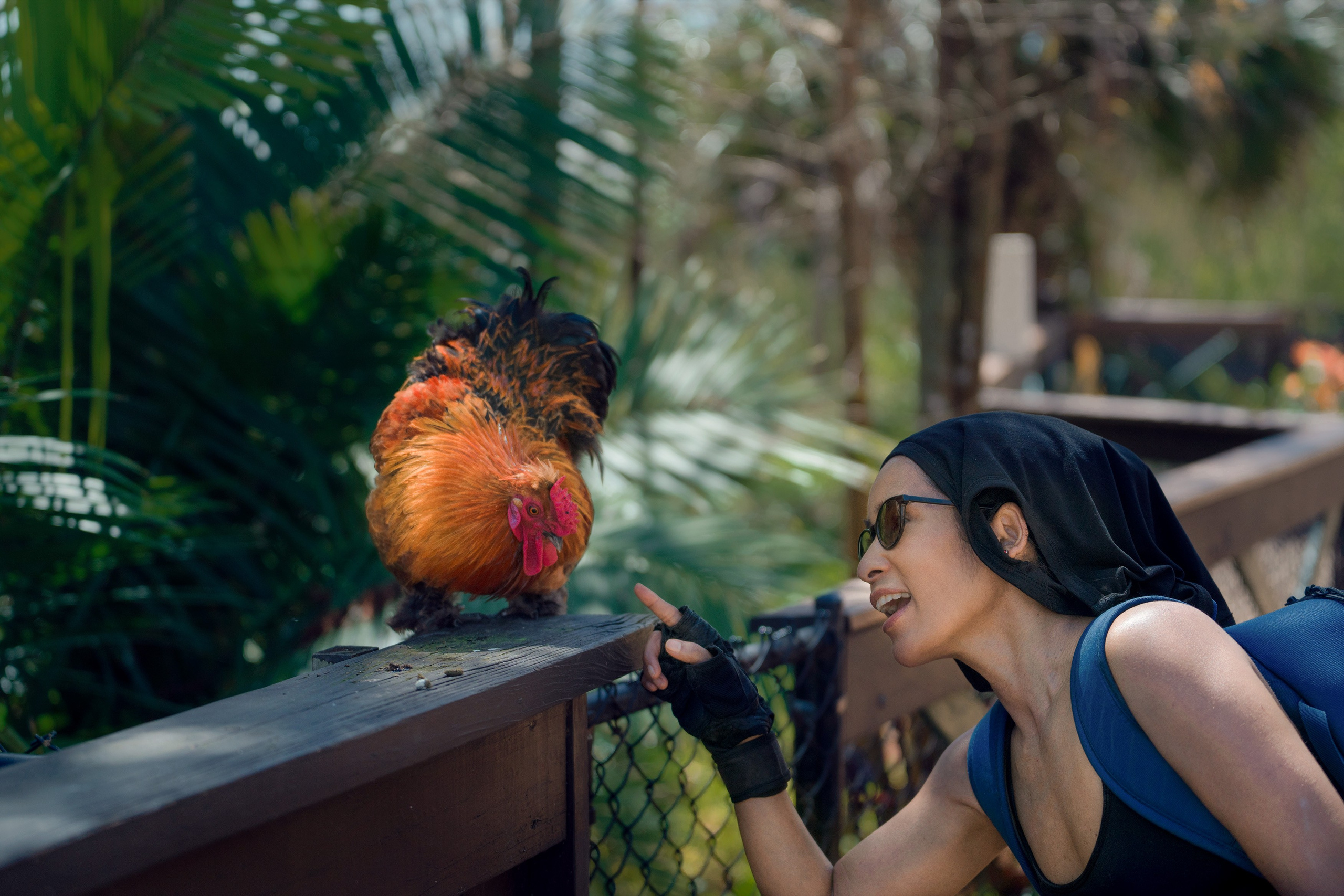 Florida. Beena Films