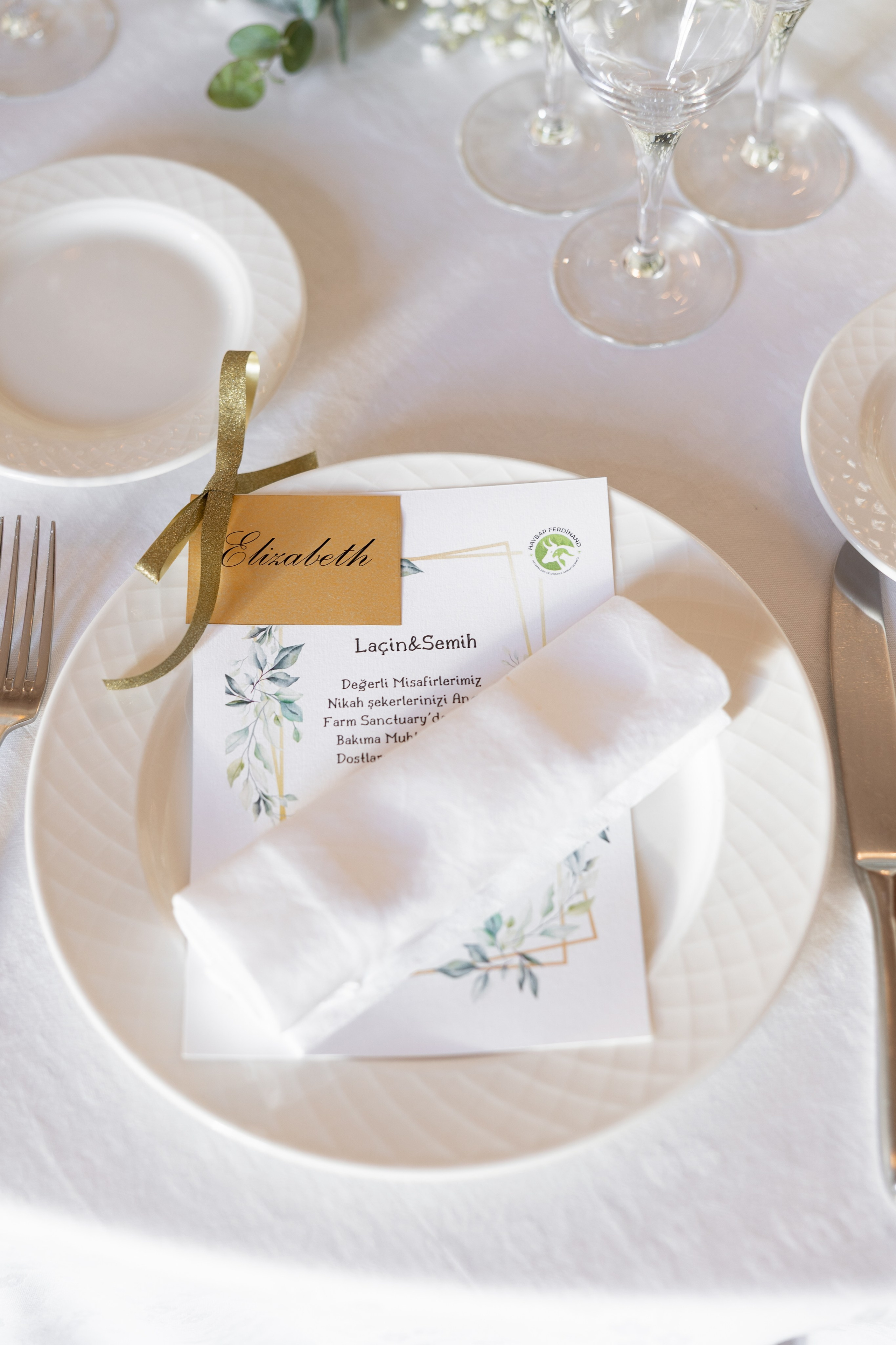 Laçin & Semih, Château de Santeny