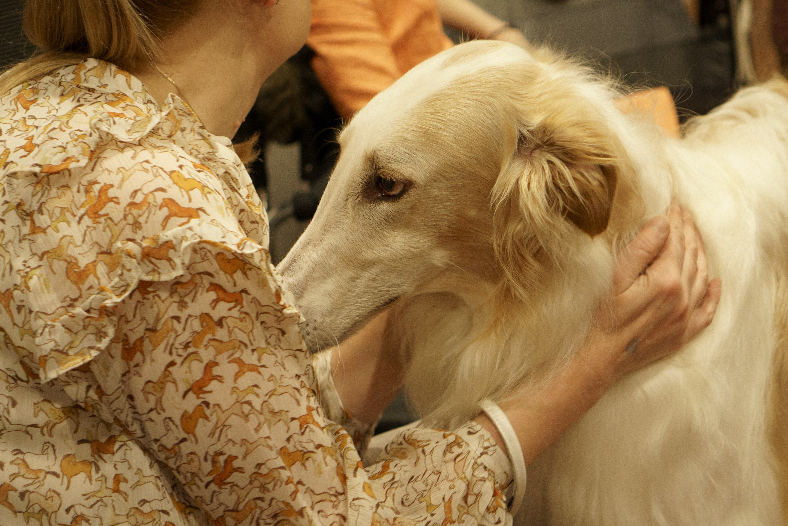 Tartu International Dog Show. Kat Laisaar — Pet photographer in Tallinn
