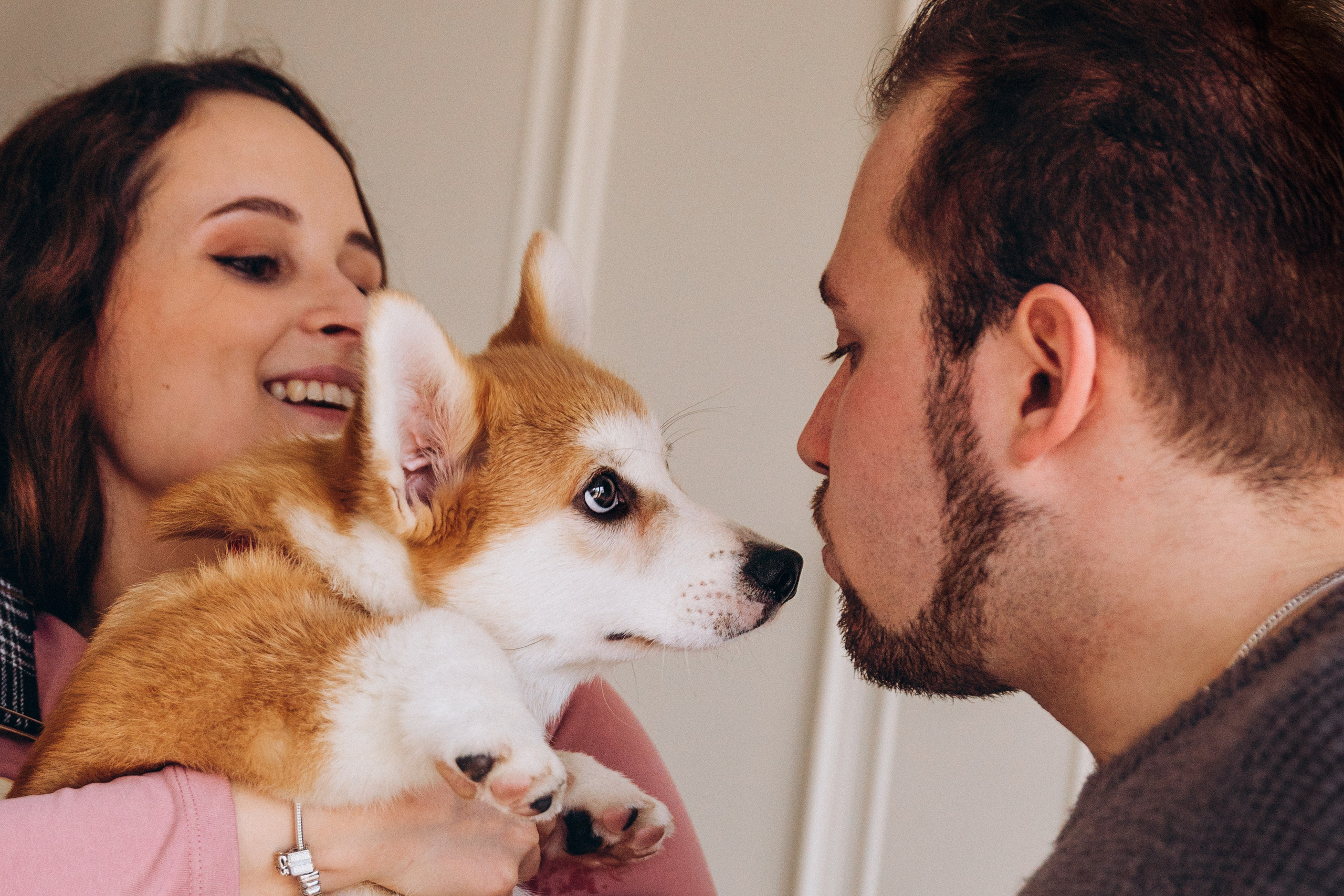 Mars & his Family. Kat Laisaar — Pet photographer in Tallinn
