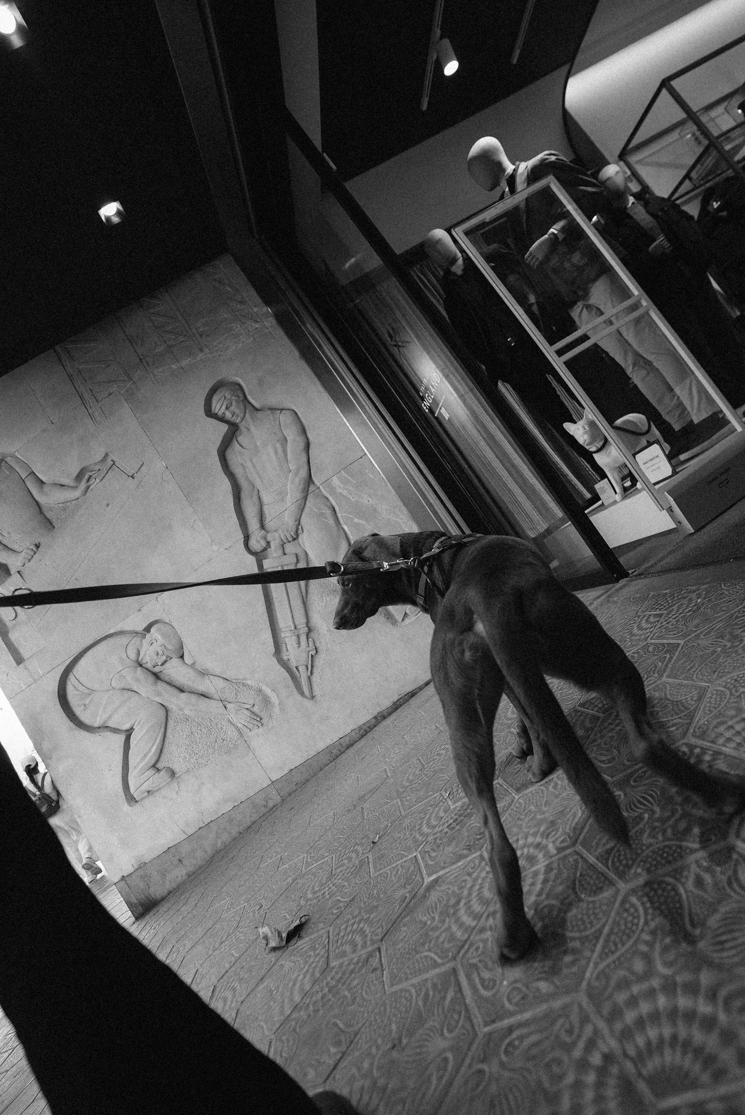 ЕВРОТУР. Стрит-фотография, полная абсурда, идиотизма и красоты