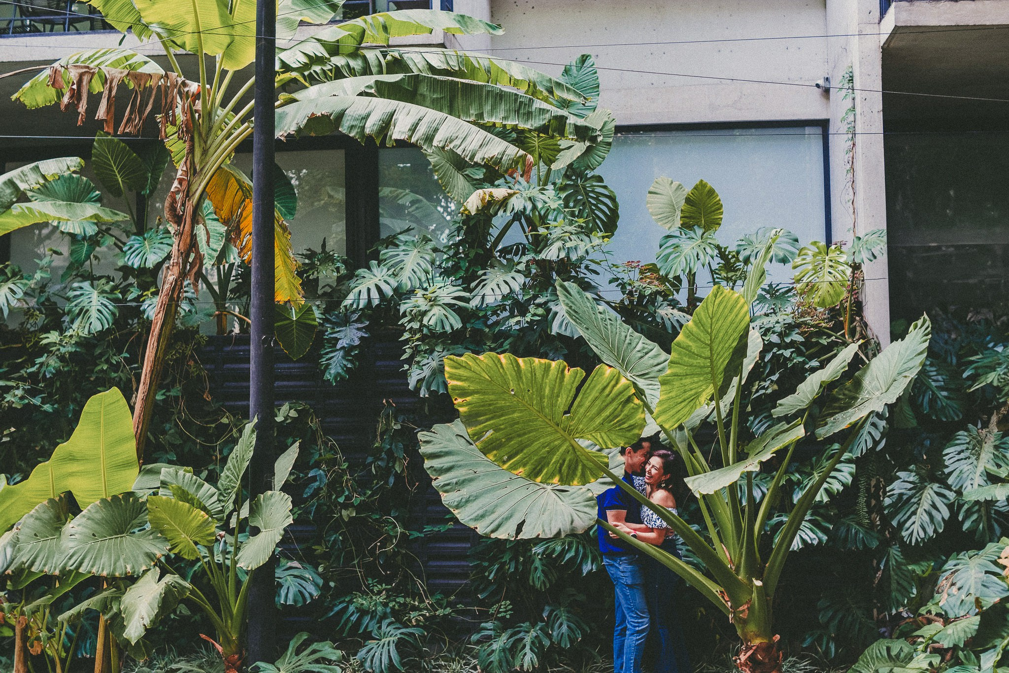 Anayanzin & German. Wedding and family photographer in Mexico City