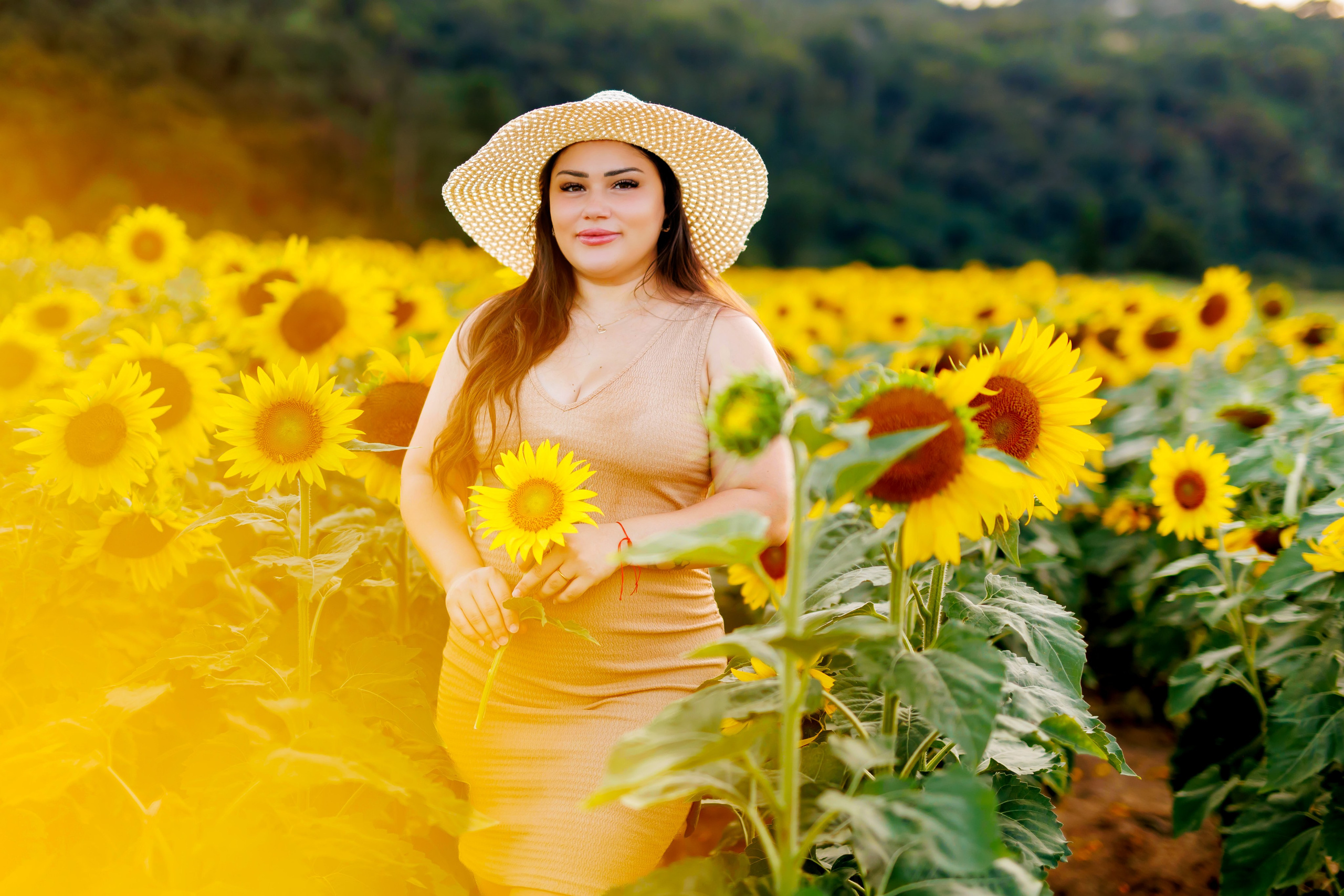 Un’estate tra i 🌻 girasoli- 2026. Luci e Capricci Photography