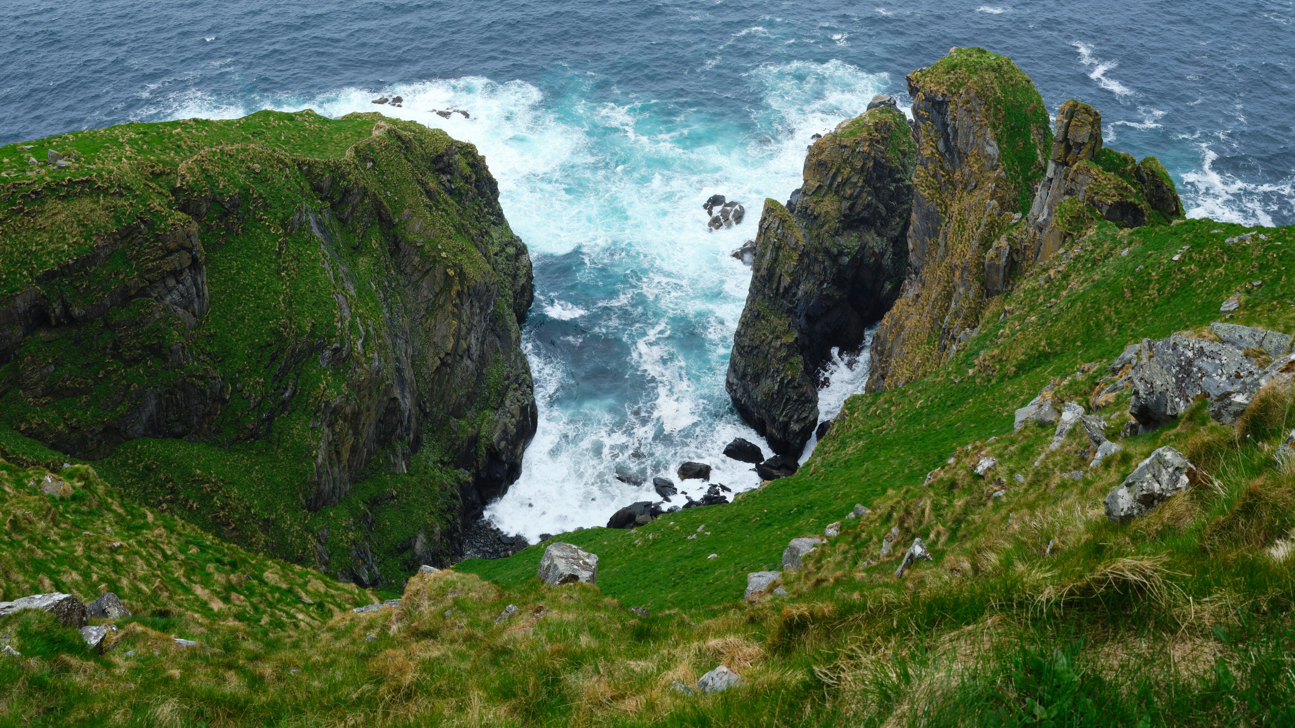 Prints by D.Todosyev