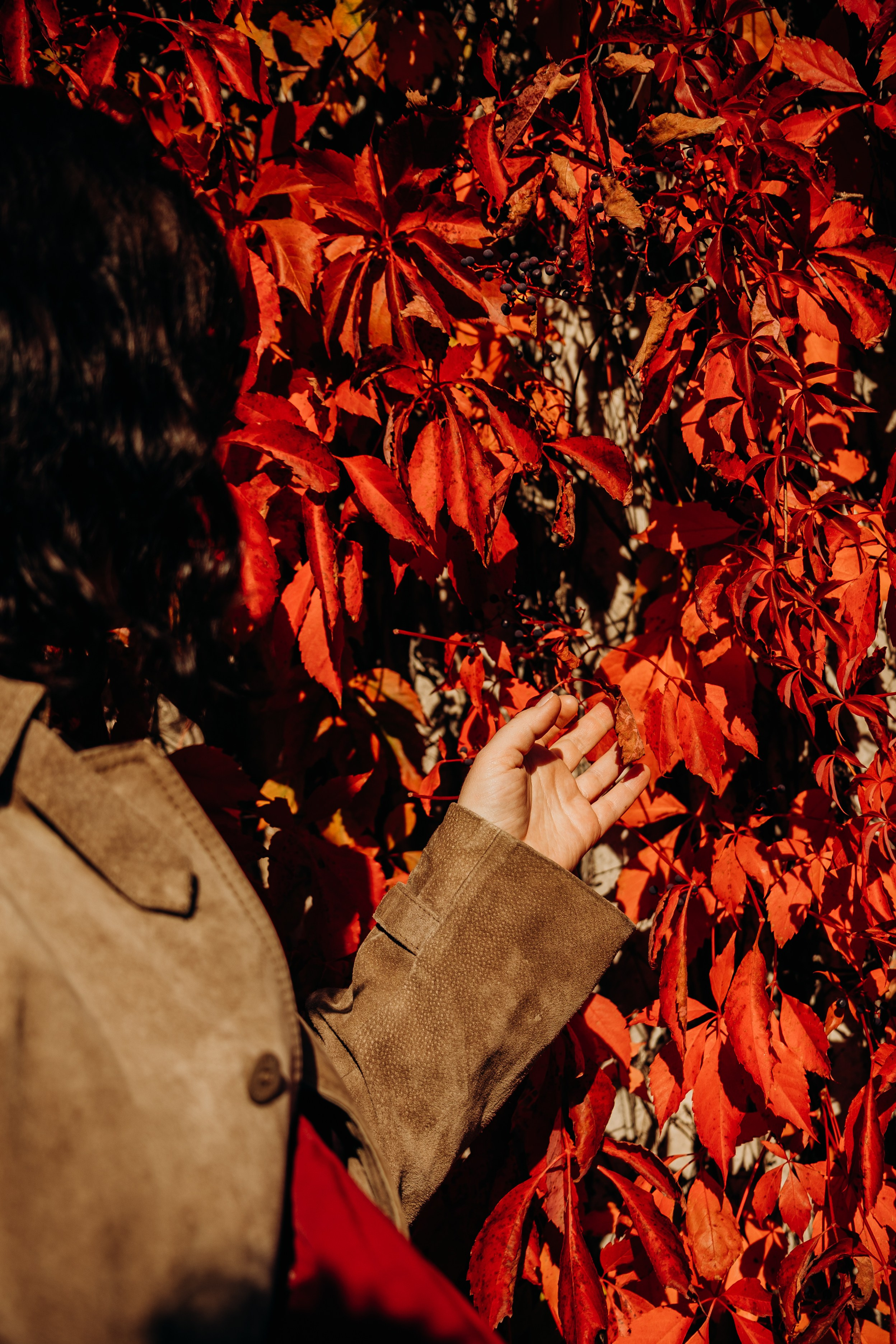 Beautiful autumn. Iryna Zhyvora | Photographer | Stockholm