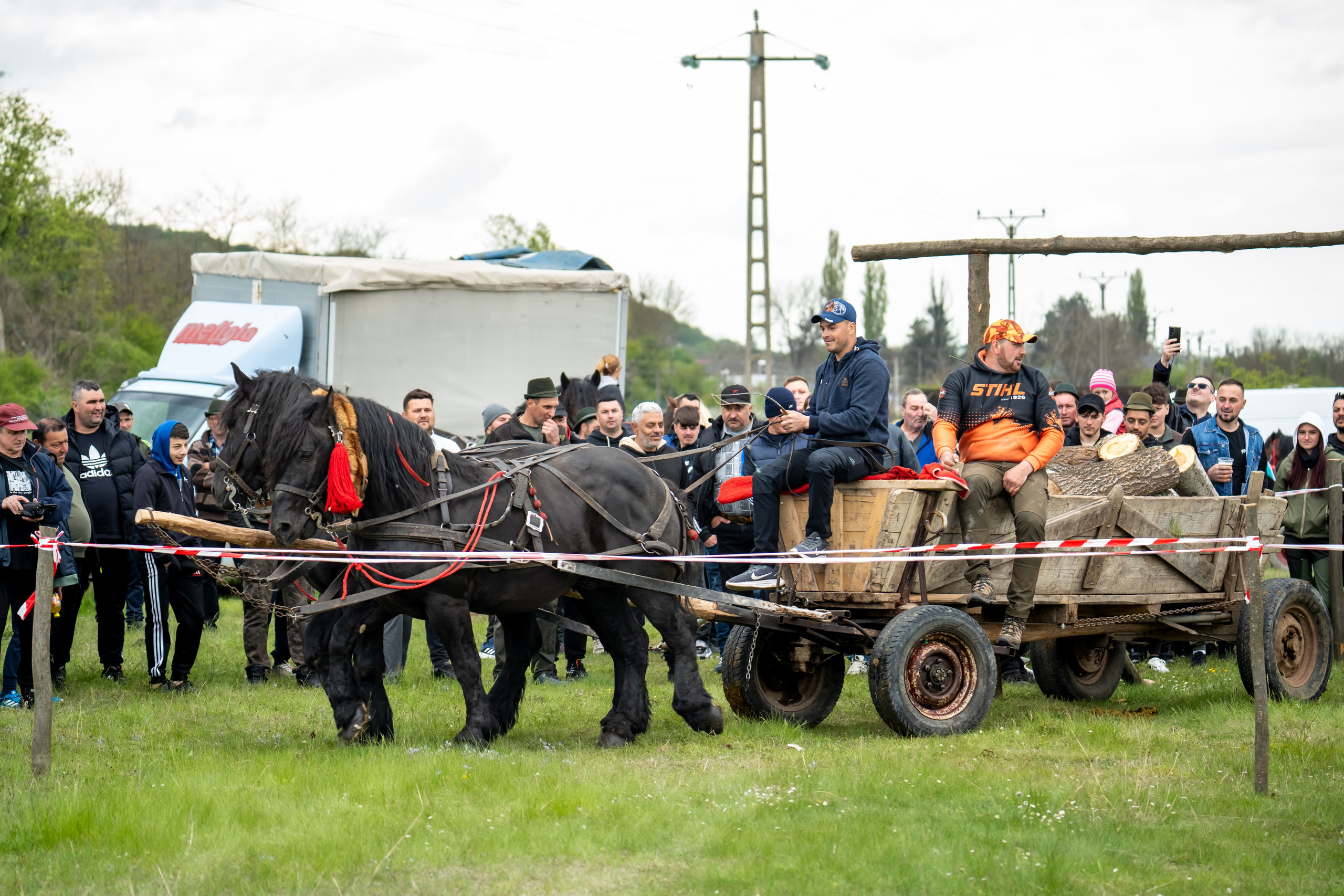 Concurs Ecvestru Vărbilău ediția a 4-a. Mihai Alexandra Events