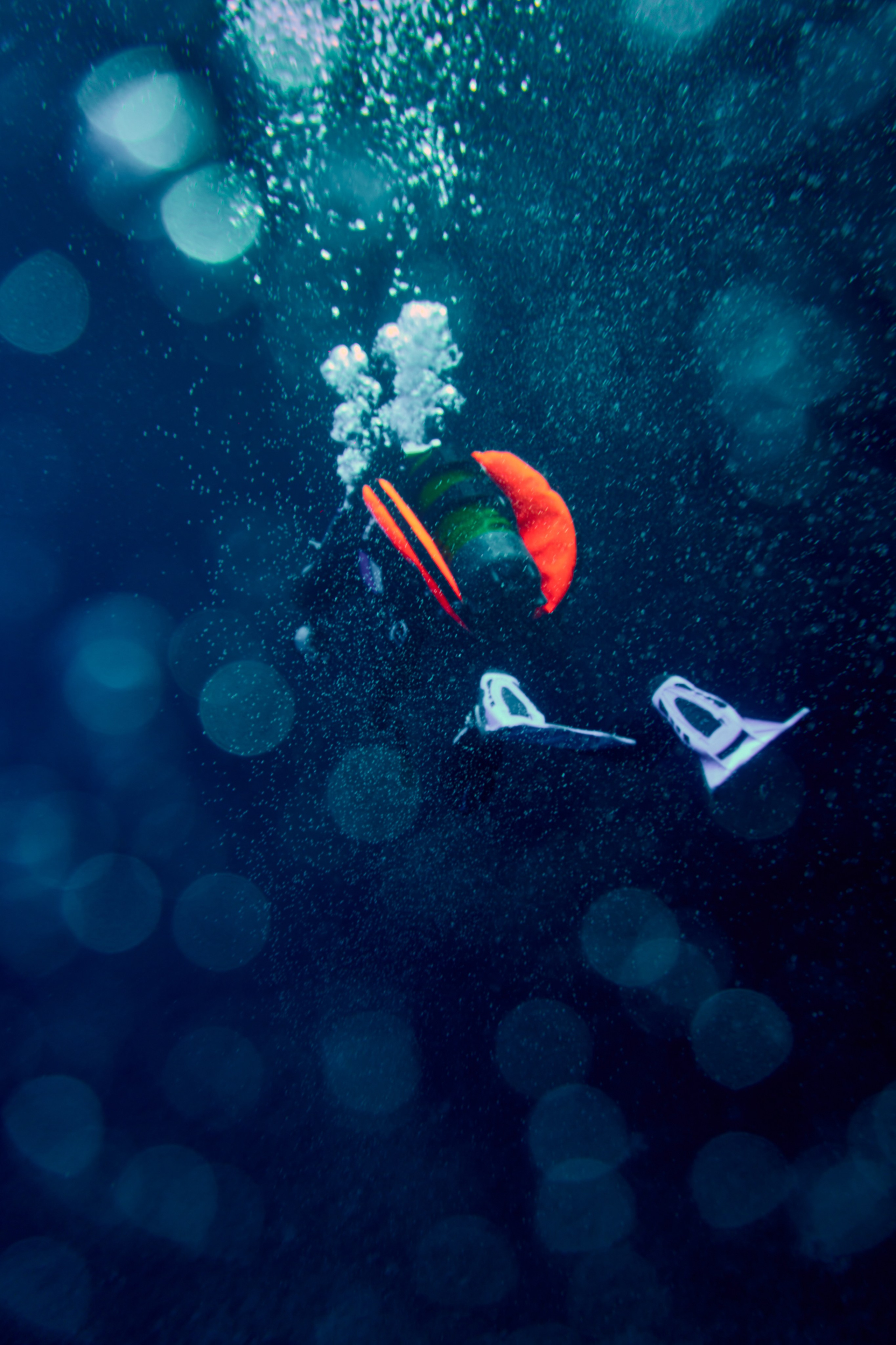 Fotograf podwodny Andriej Szypiłow. Андрей Шипилов — Фотография & Видеография