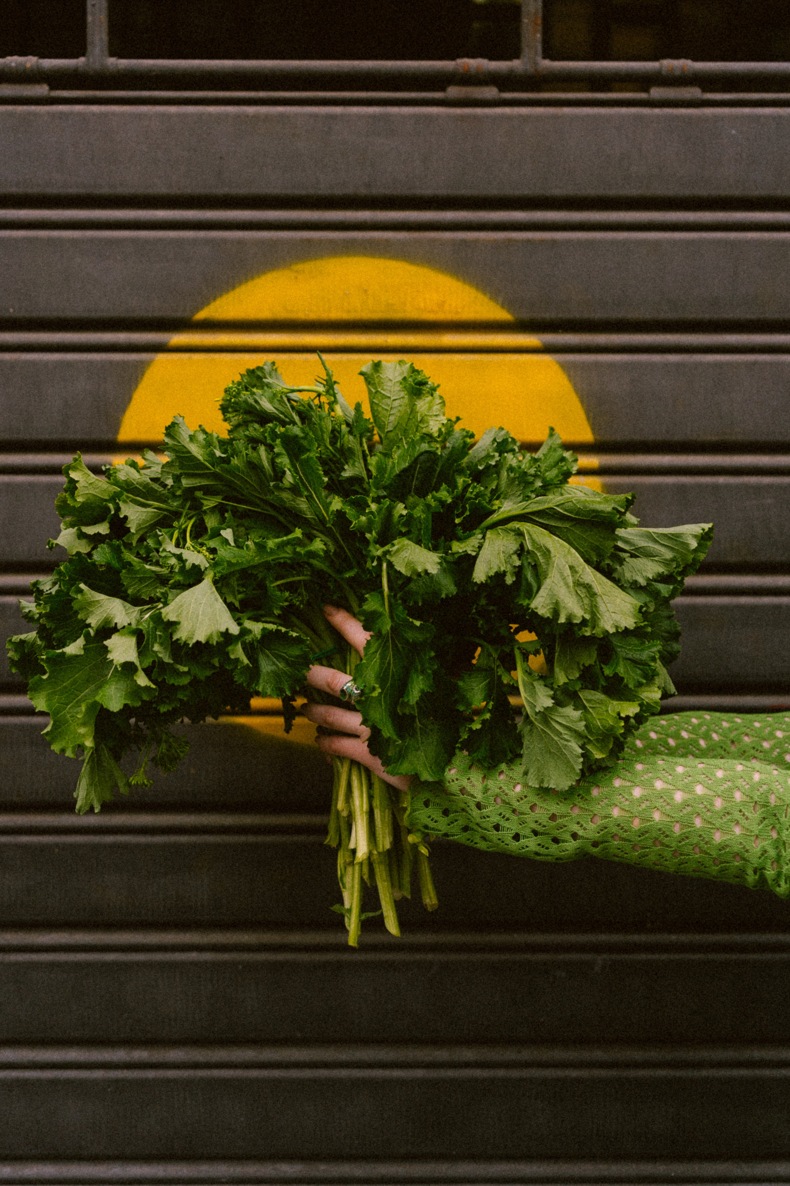 Anastasia. Дарина Иванова, лайфстайл фотограф в Неаполе. Портреты, свадьбы