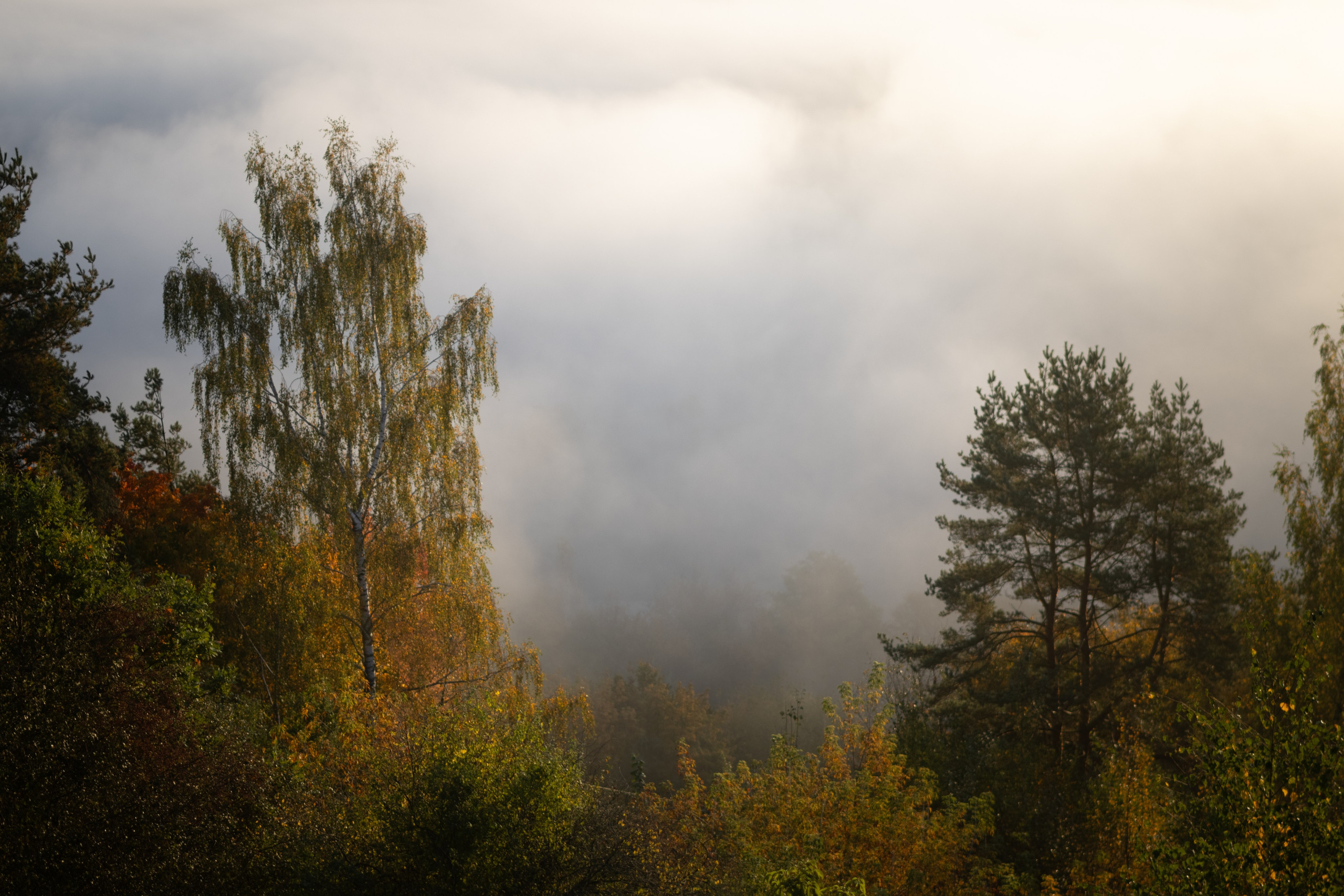 Nature. Portrait and Street photographer in Vilnius Edgar Shaipunas