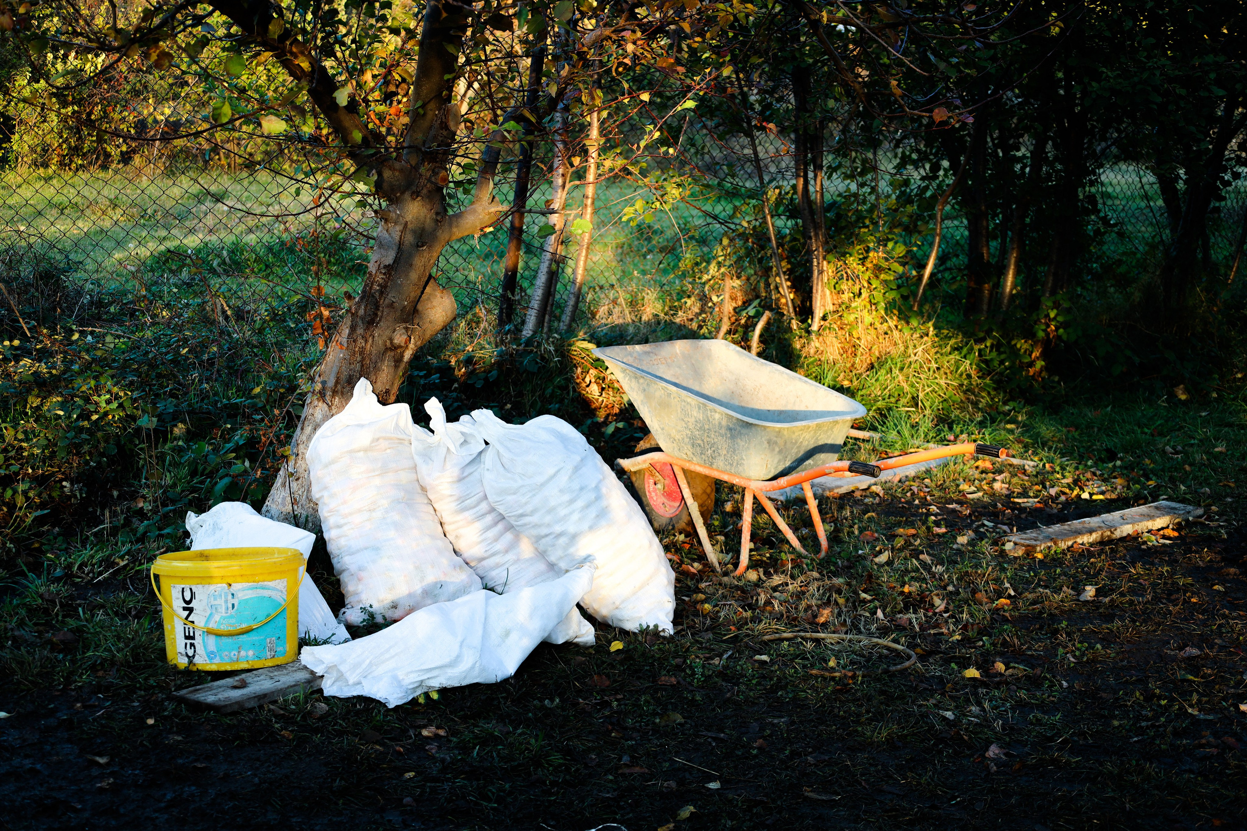 Factory reportage (hand-crafted cider). Asmikiam