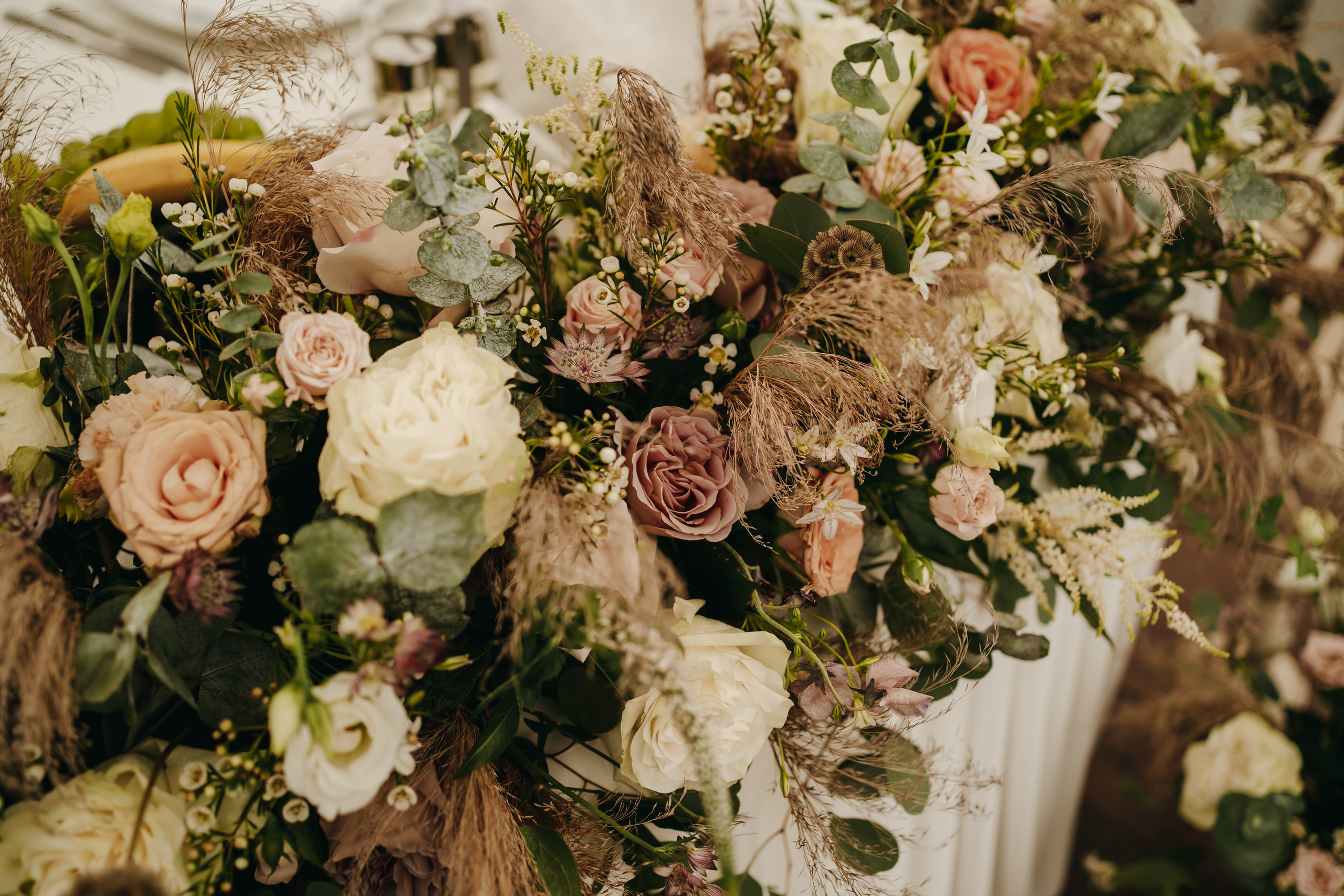 T & I. Fotograf Nunta Iasi - Hearts & Pictures