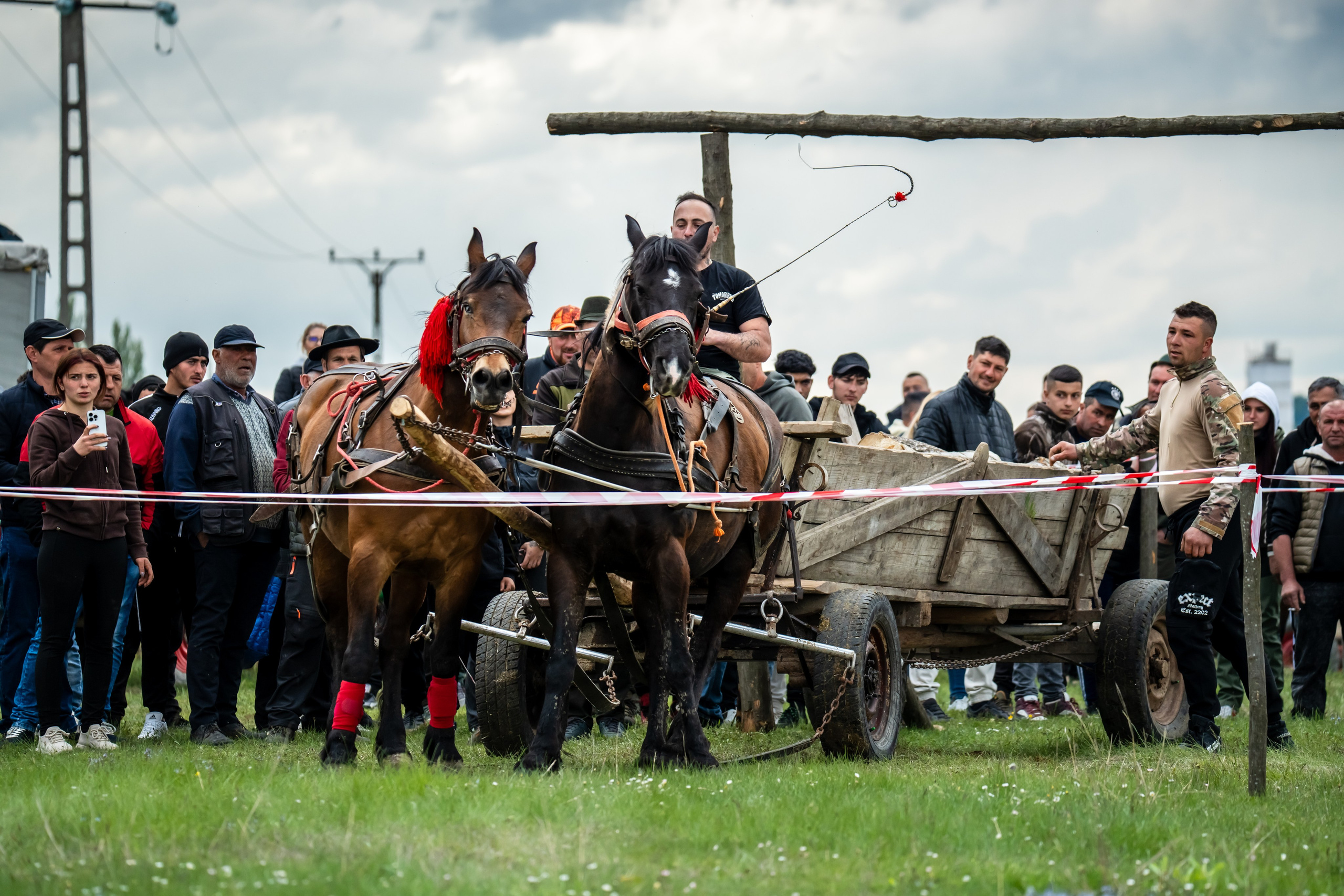 Concurs Ecvestru Vărbilău ediția a 4-a. Mihai Alexandra Events