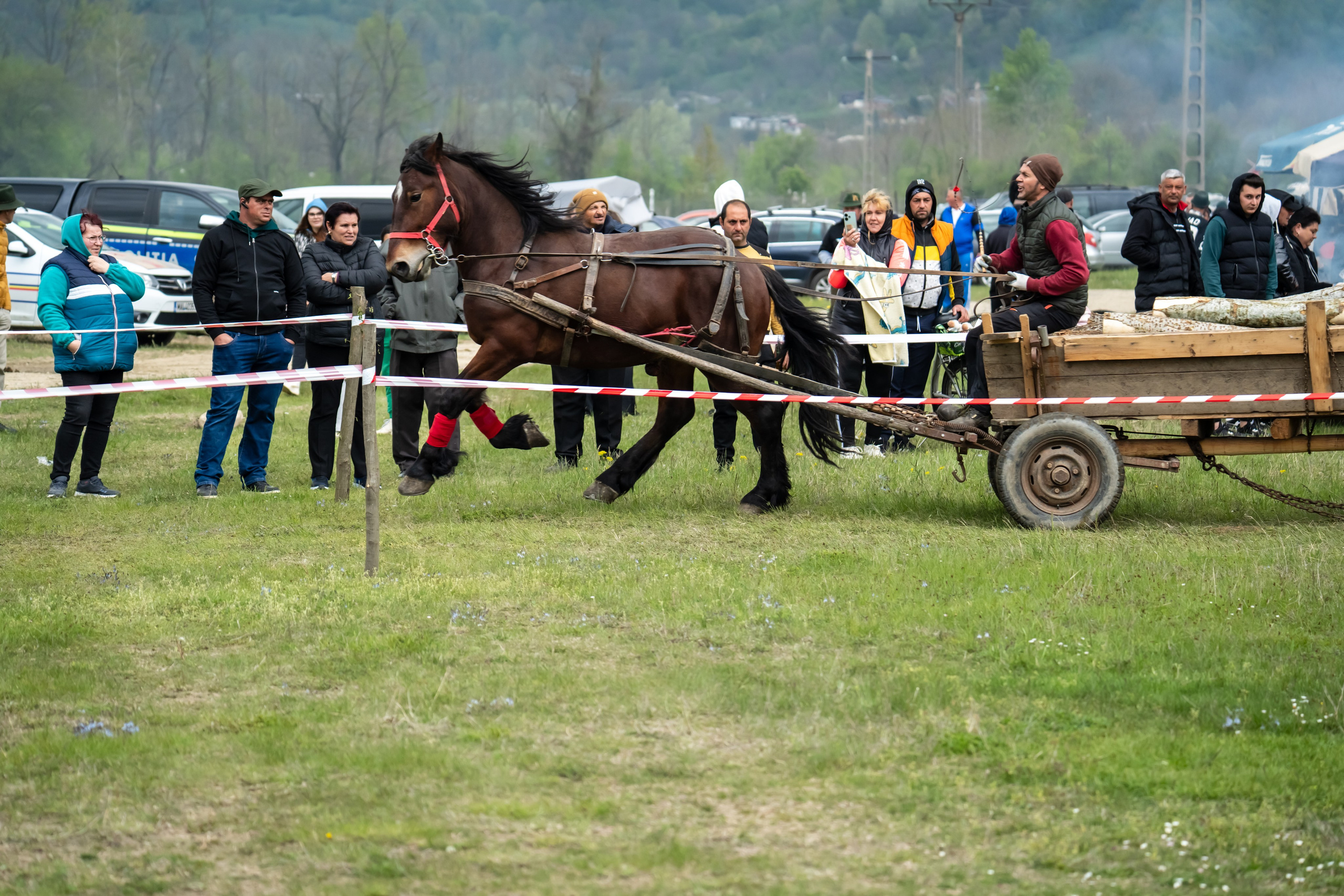 Concurs Ecvestru Vărbilău ediția a 4-a. Mihai Alexandra Events
