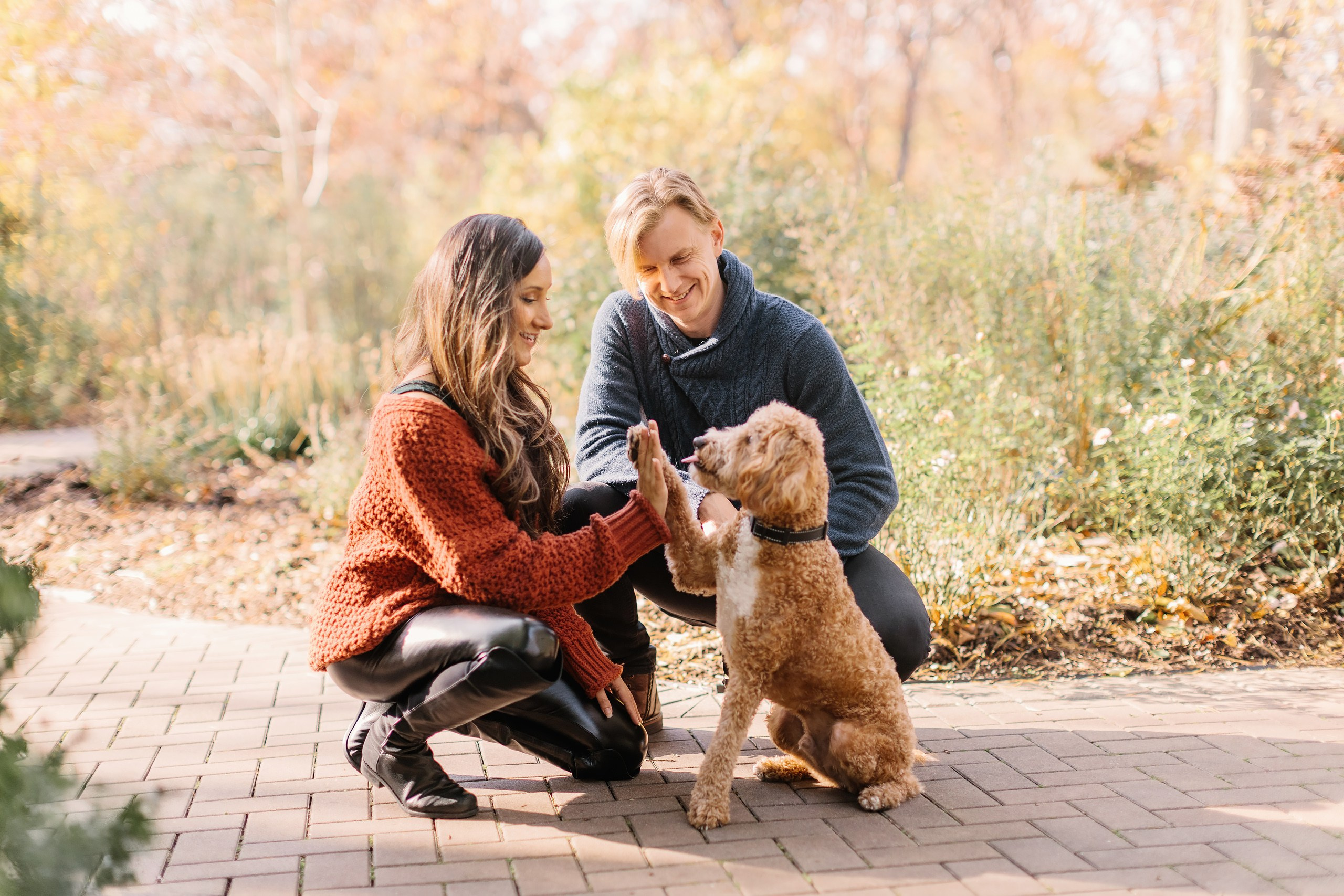 11.02.2024 Love Story. Wedding family event photographer in Chicago Nick Yushevich