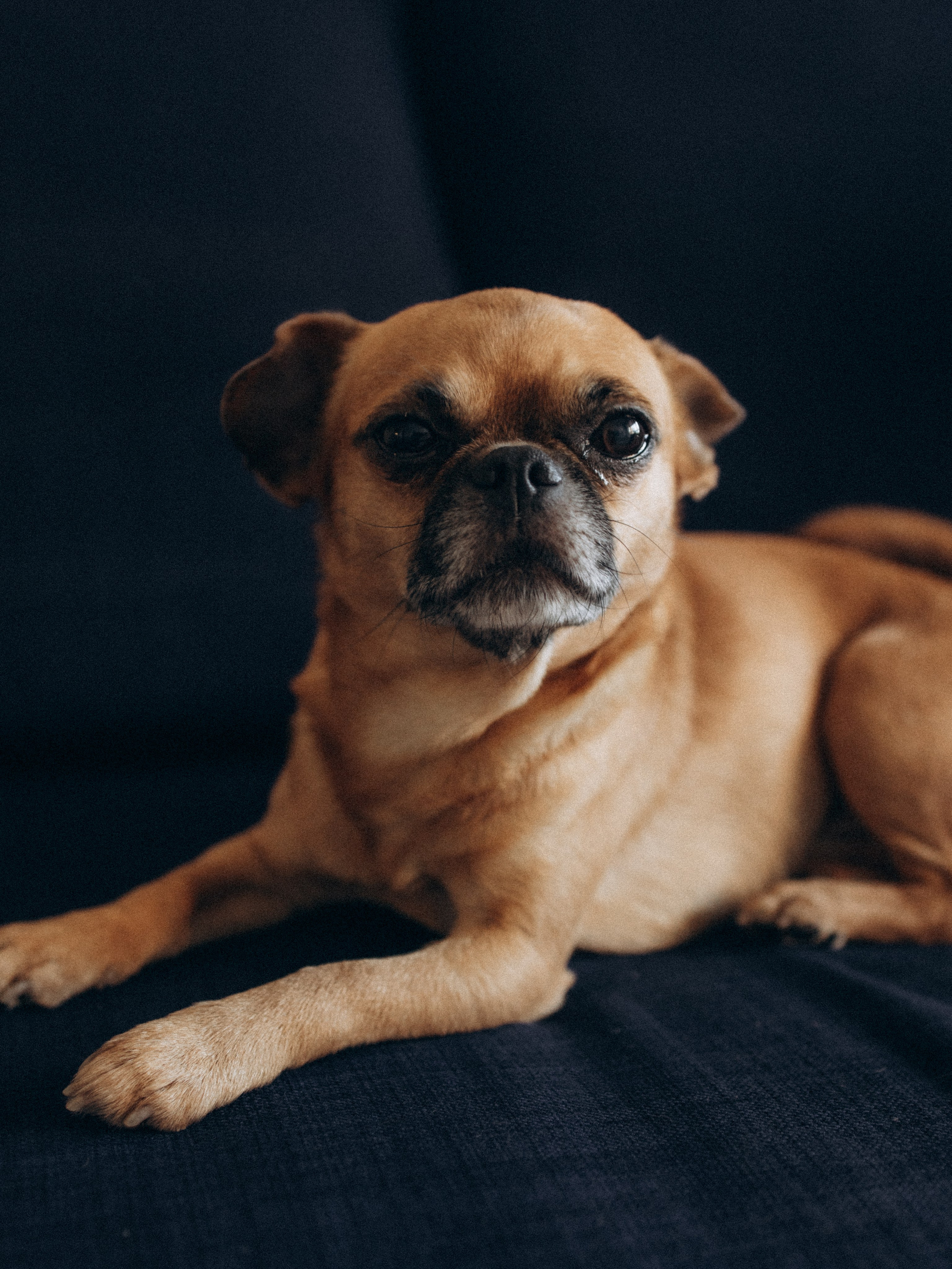Victoria’s family. Kristina, portrait and family photographer in Helsinki