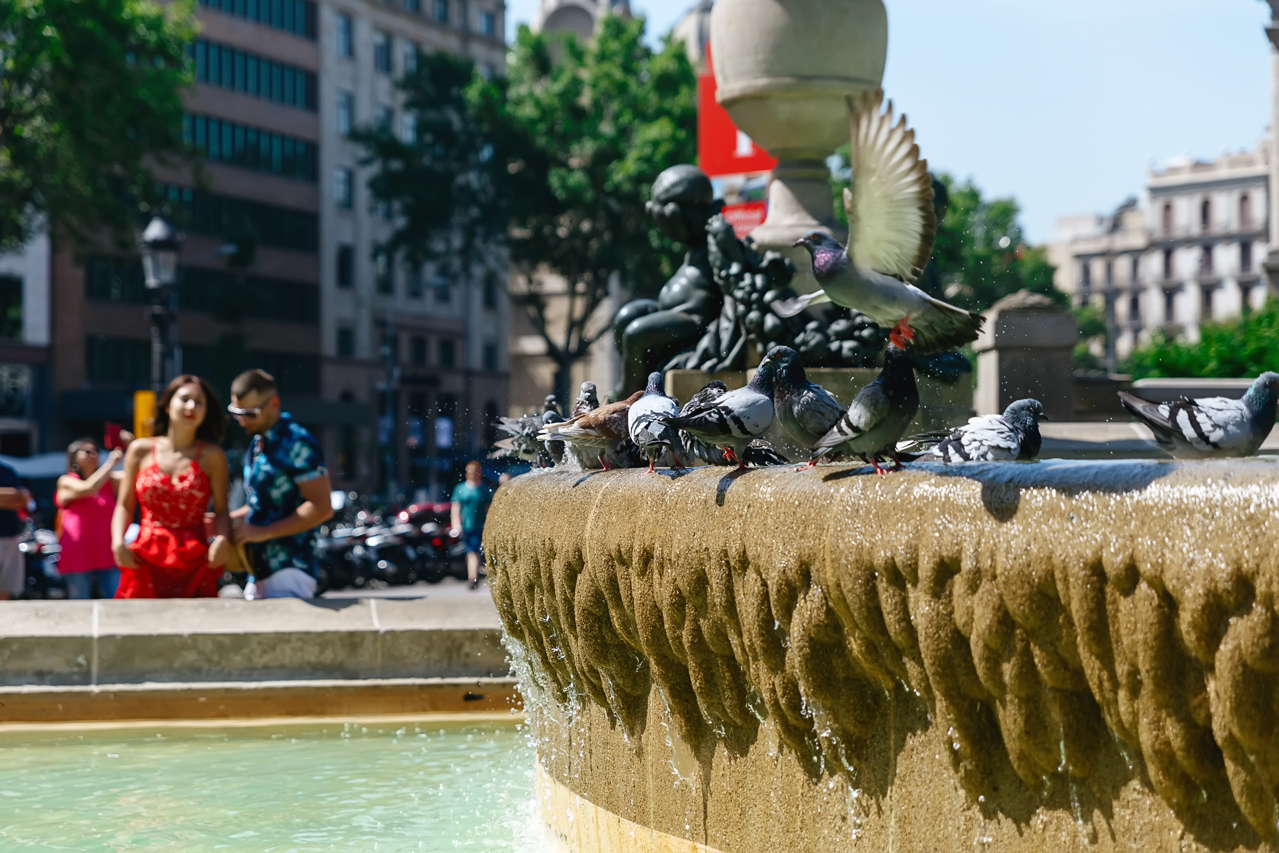 София и Дима. Фотограф в Барселоне, в Испании, по всей Европе - Андрей Пасечник. Тел