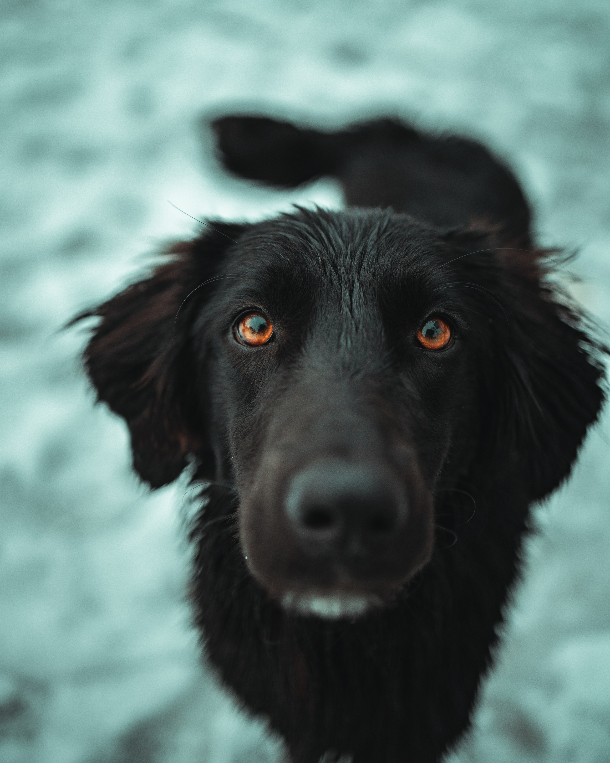 T B I L I S I. Bspander