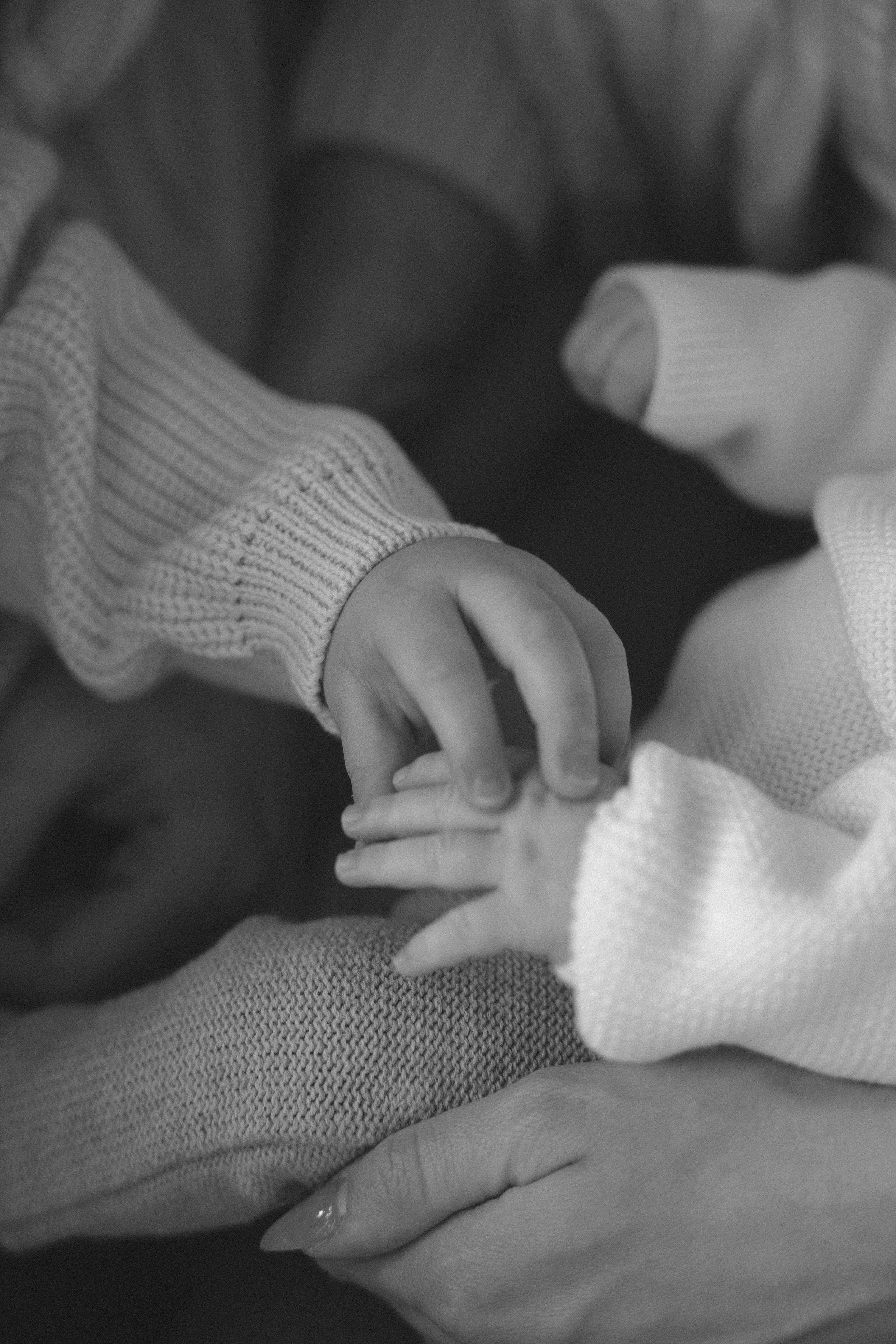 Santa Monica family photographer. Los Angeles family photographer. Family photoshoot. Family photographer. Family photoshoot. 