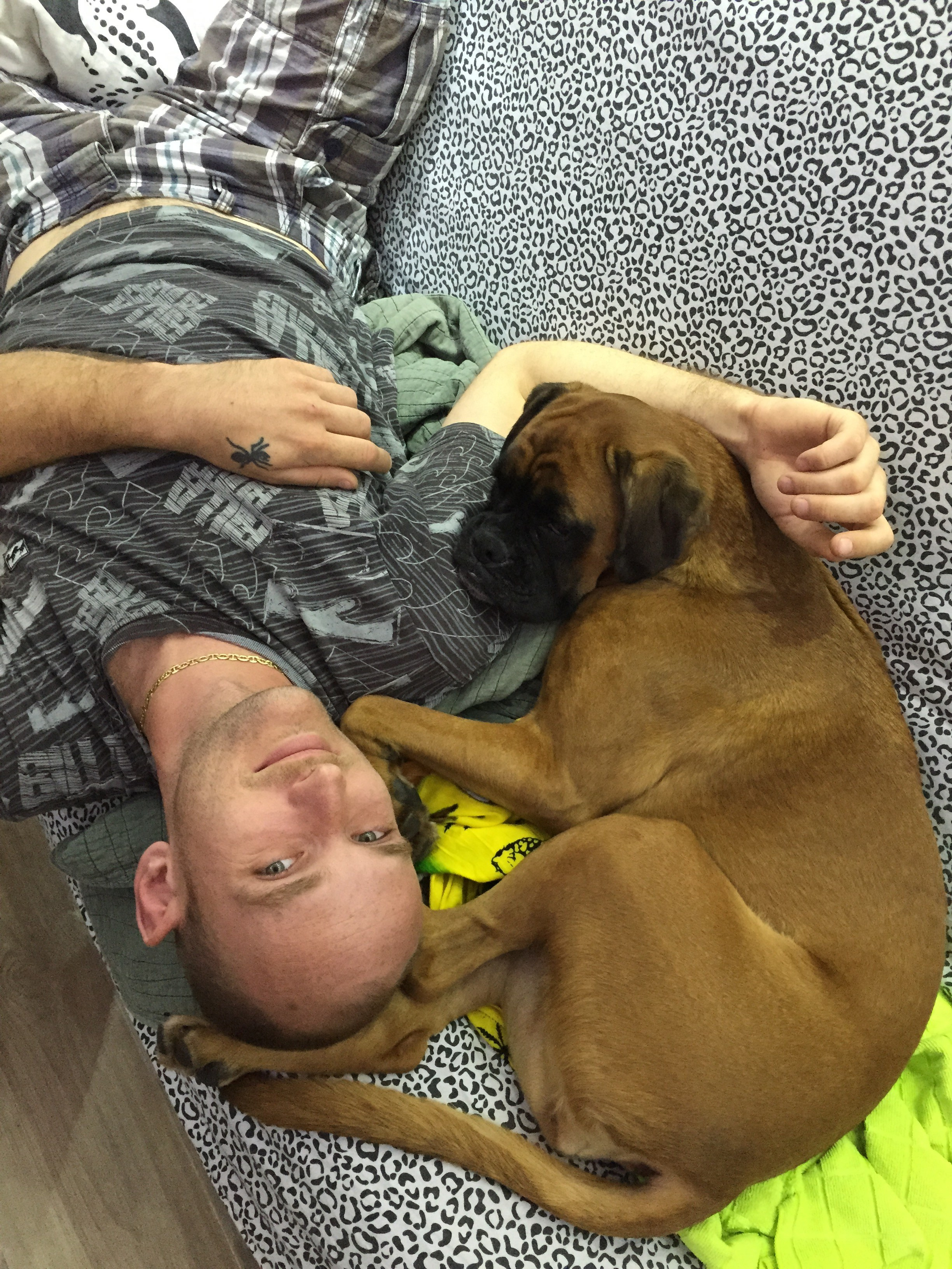 My ״Star״ Boxer Dog