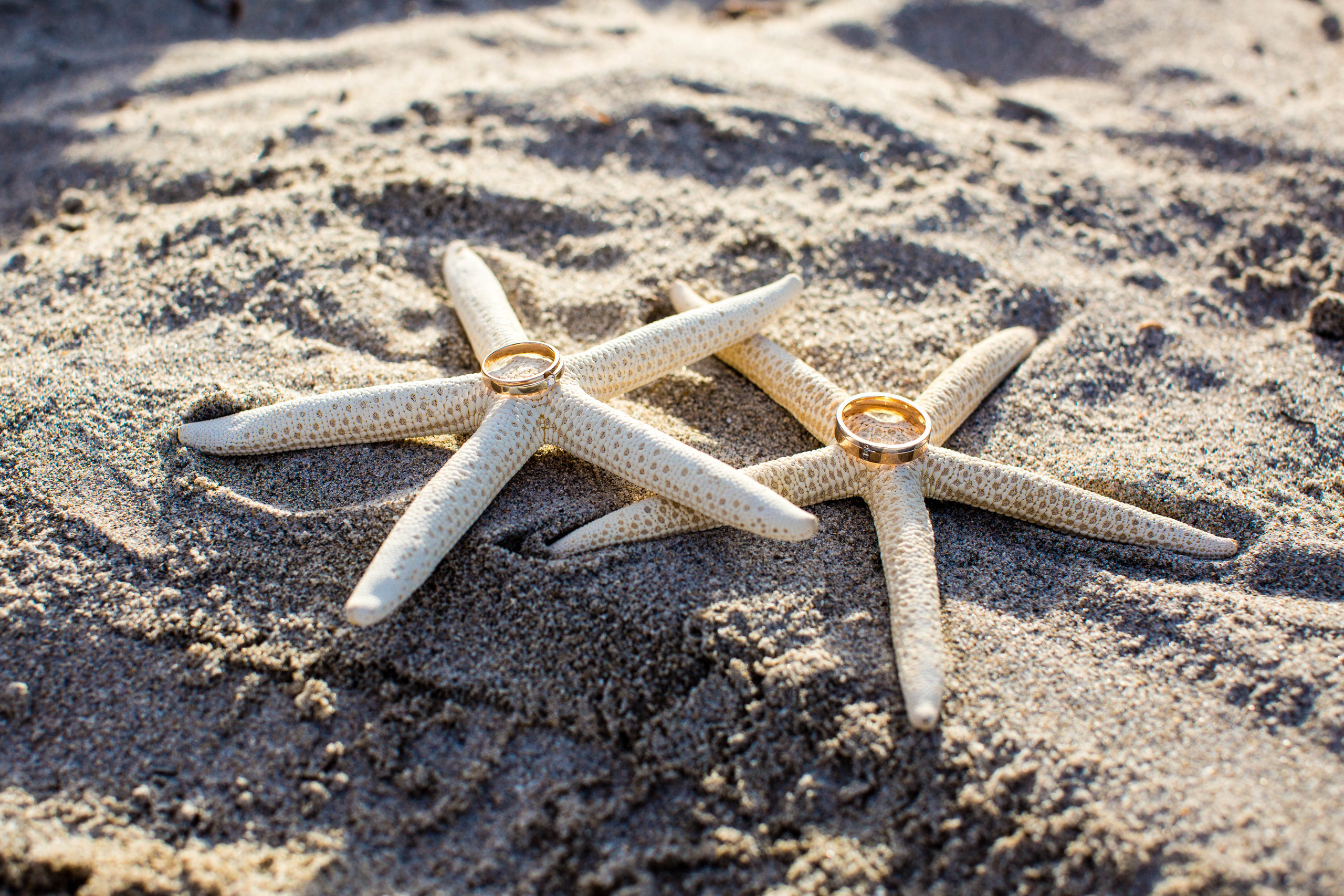 Best wedding photographer Miami. Miami Family and Event Photographer