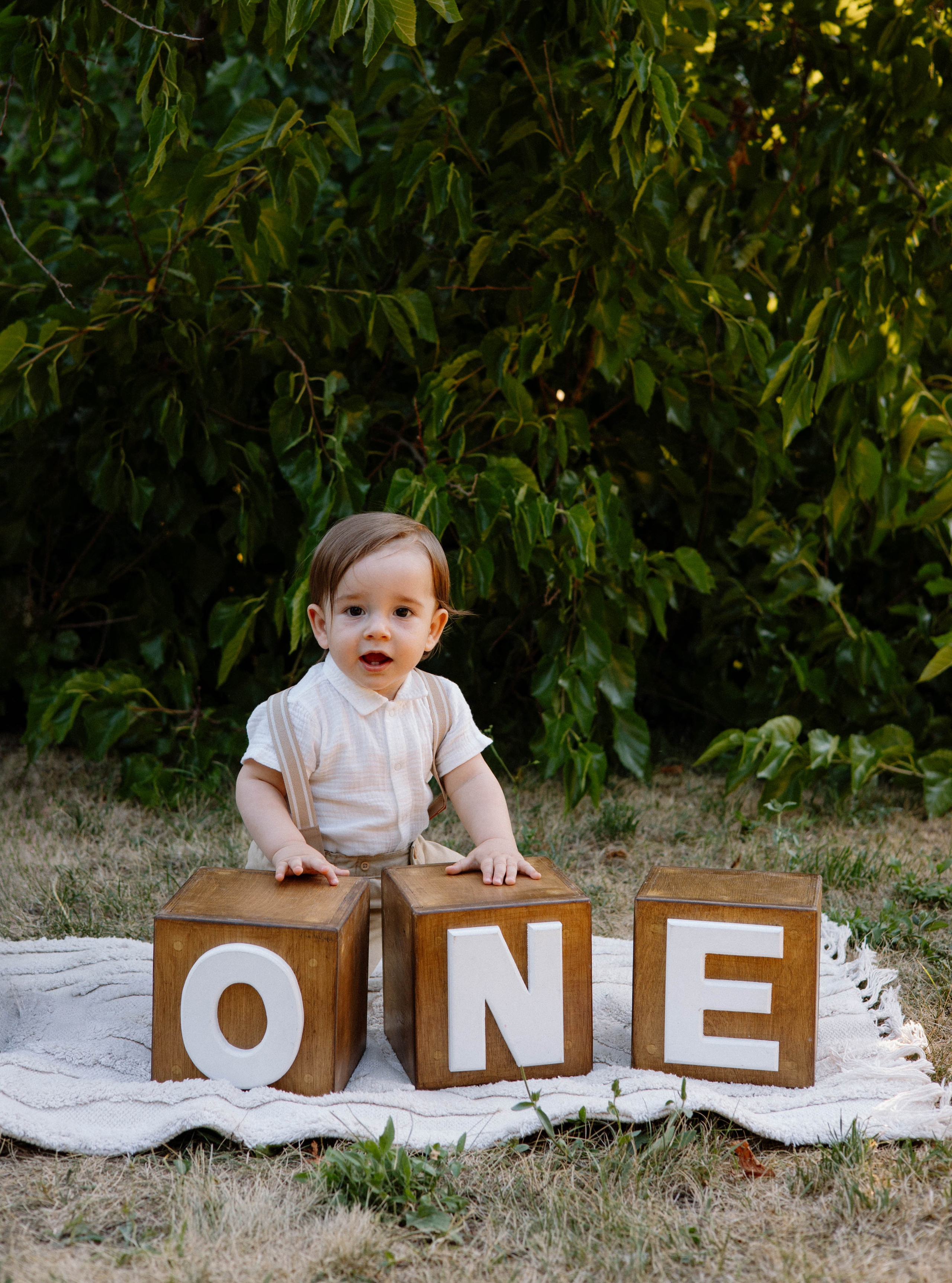Smash Cake Photography. Family and Wedding Photographer