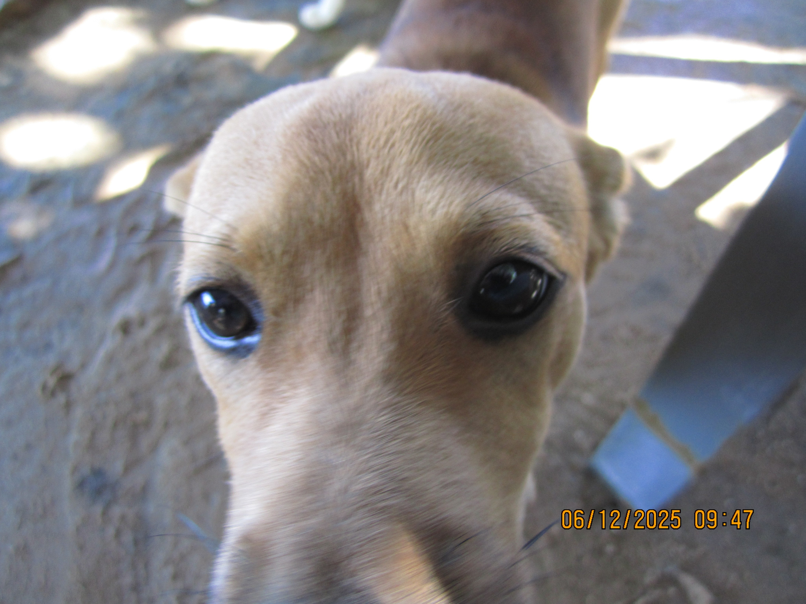 Kaheteistkümnes päev. LondoSpeed Photography