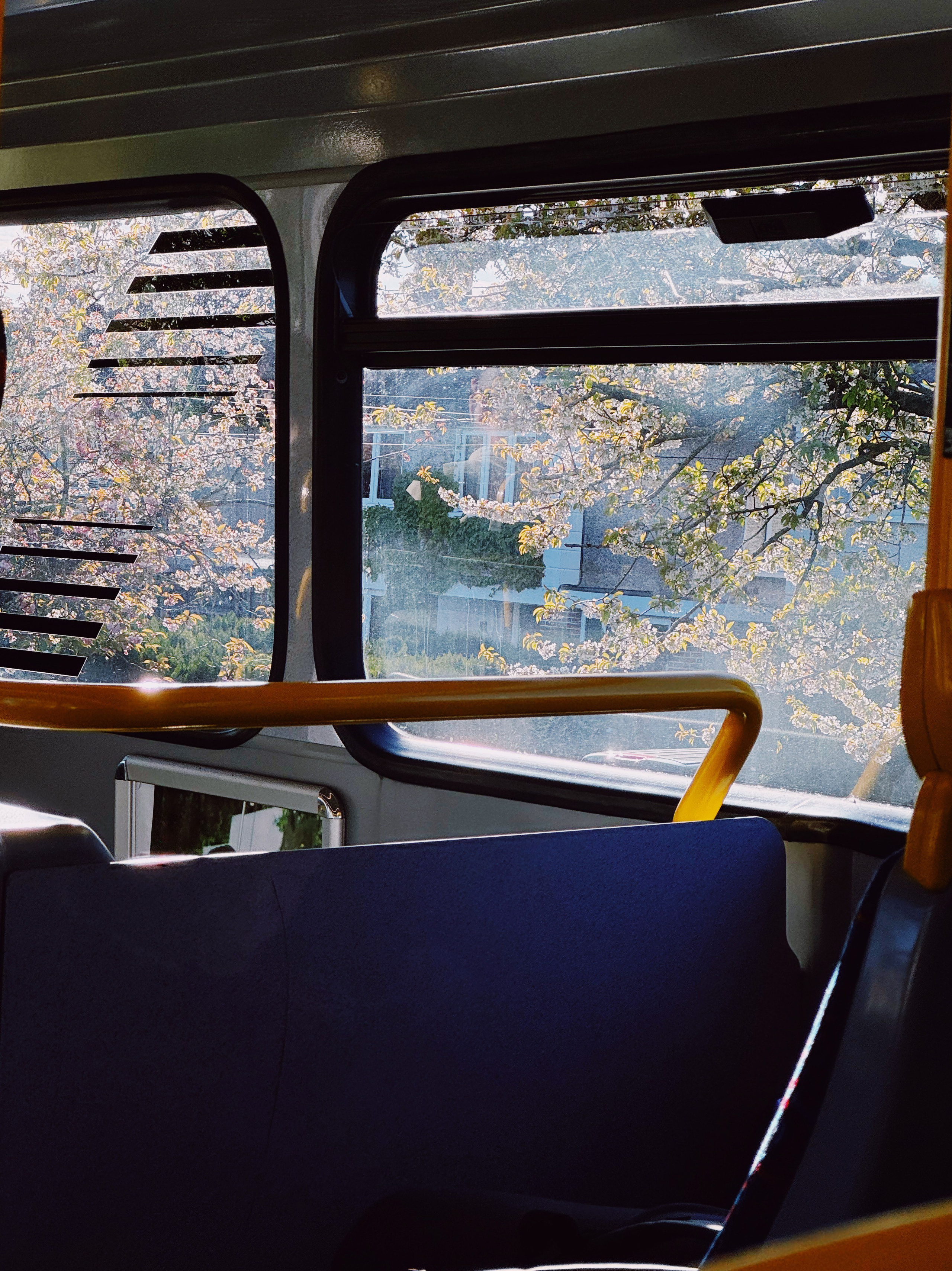 Работы Марии Шер. Sher.SCHOOL