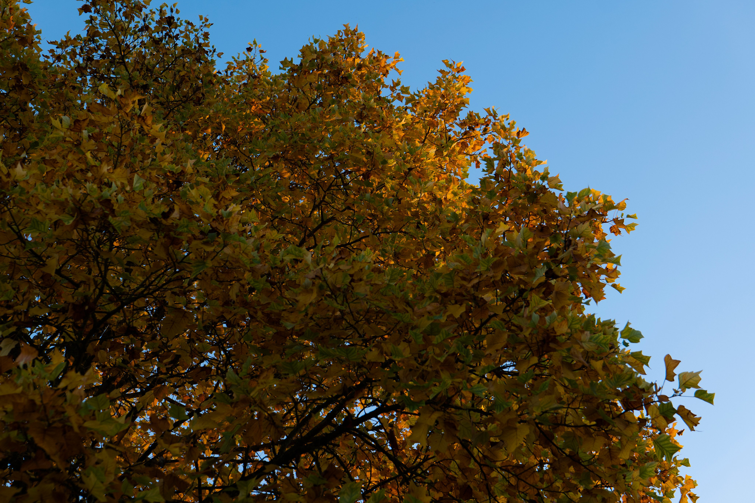 Paysages. Portrais créatifs de familles et individuels, Ile et Vilaine, France