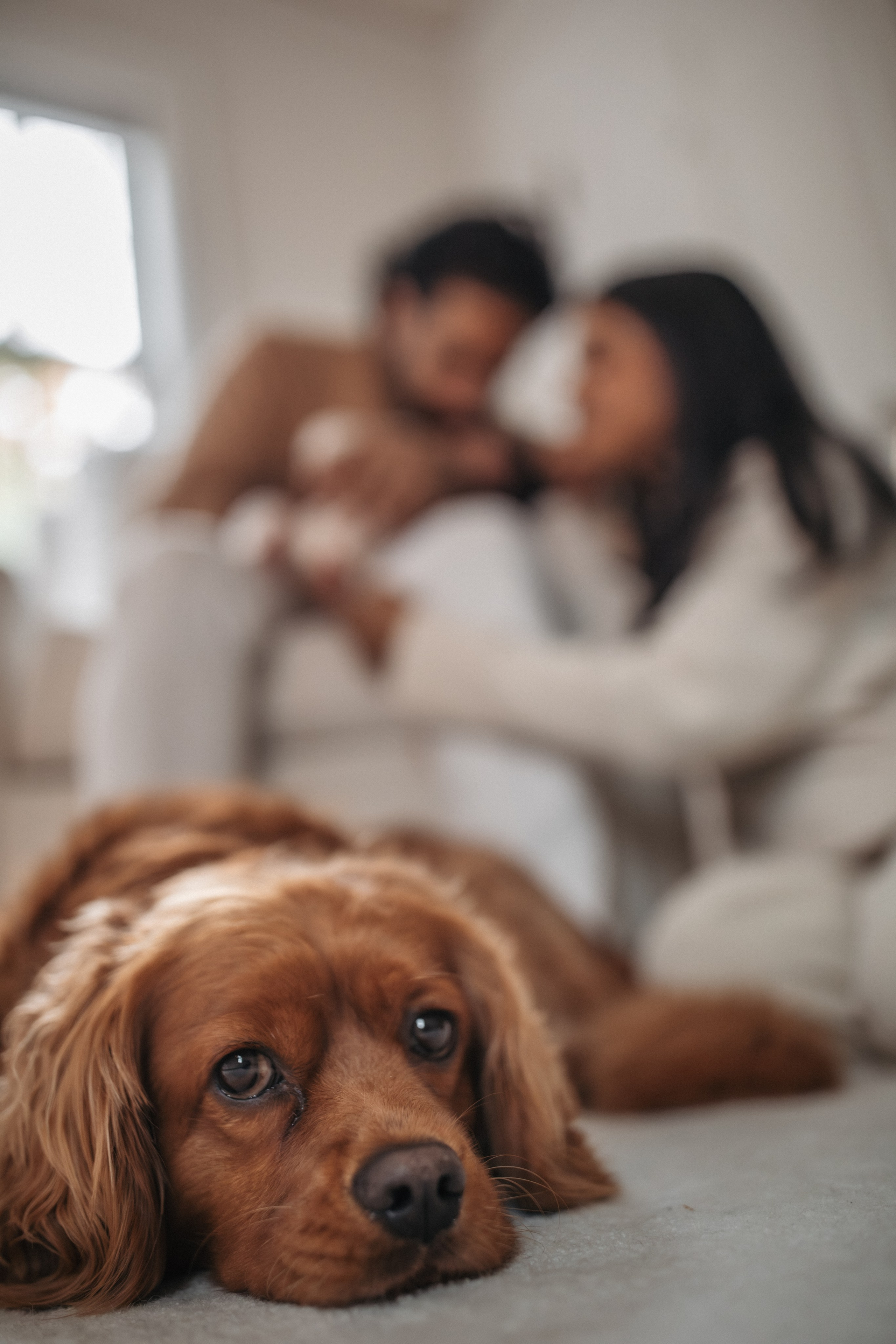 Megna, Amish and Sona. Love Through Photo