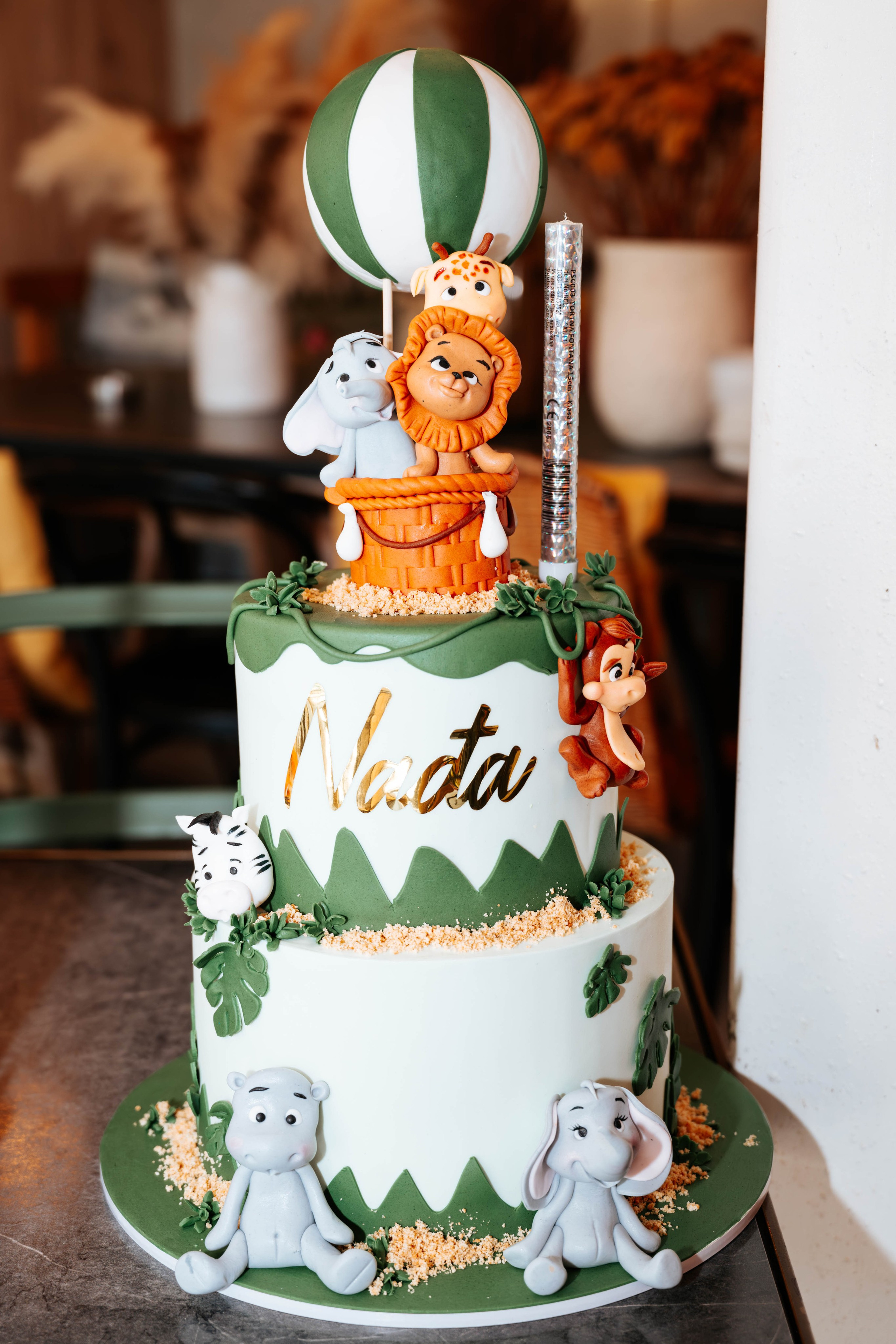 Nađa - 3. rođendan. Dečiji i porodični fotograf