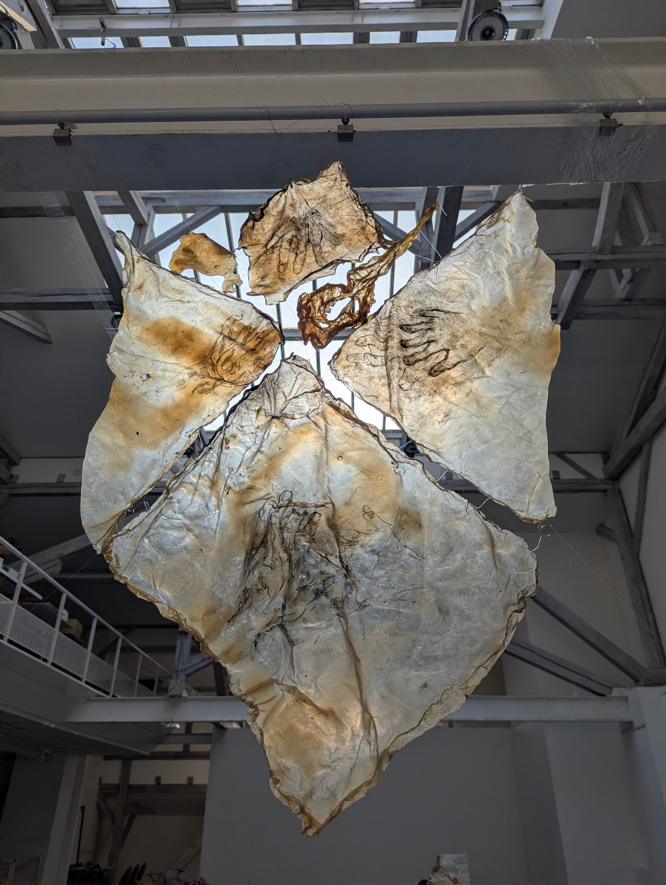 Internal chaos. Angelina Sorokopud. Artist in Strasbourg