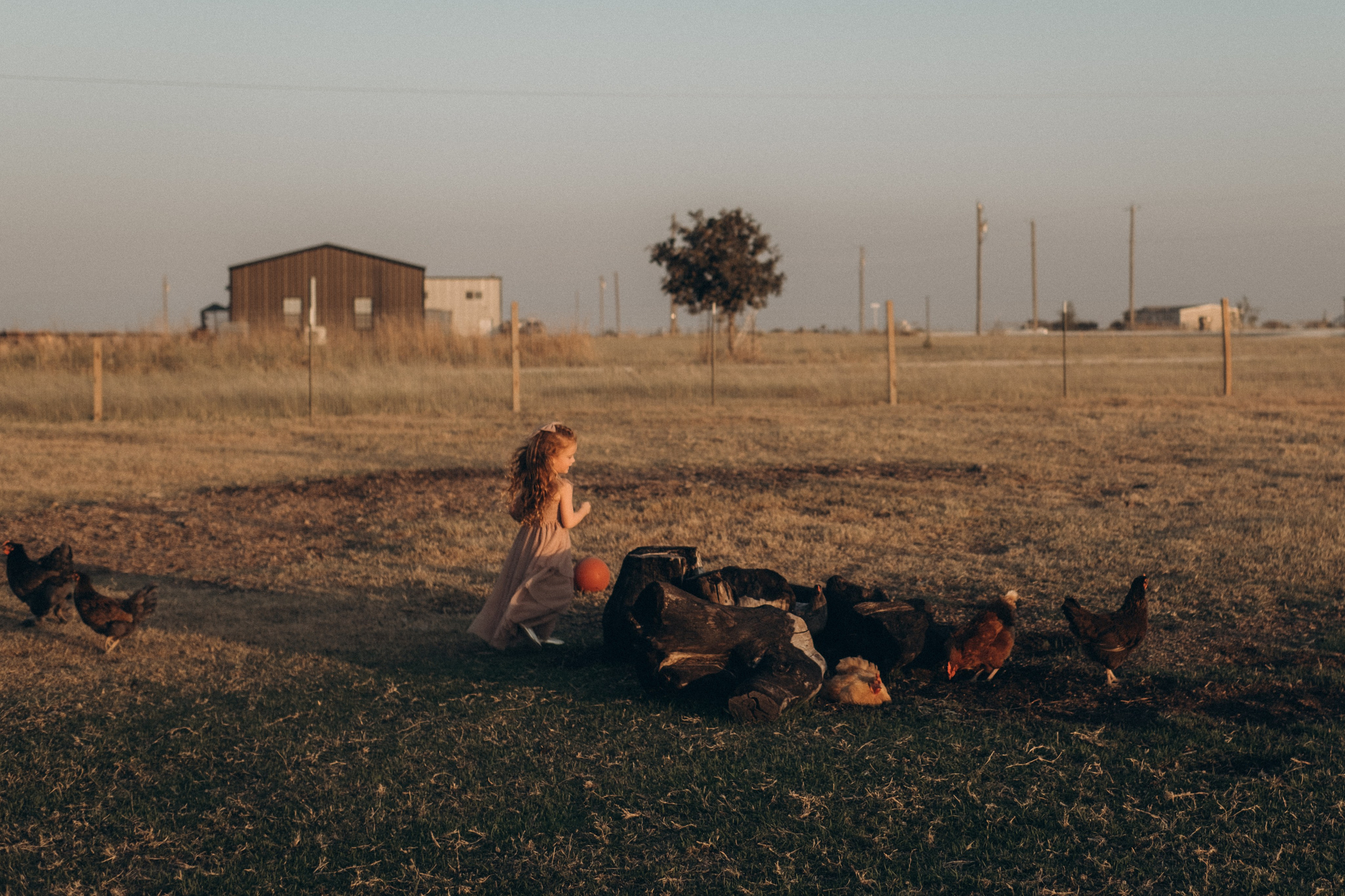 Little Princess. Lens Captures Life