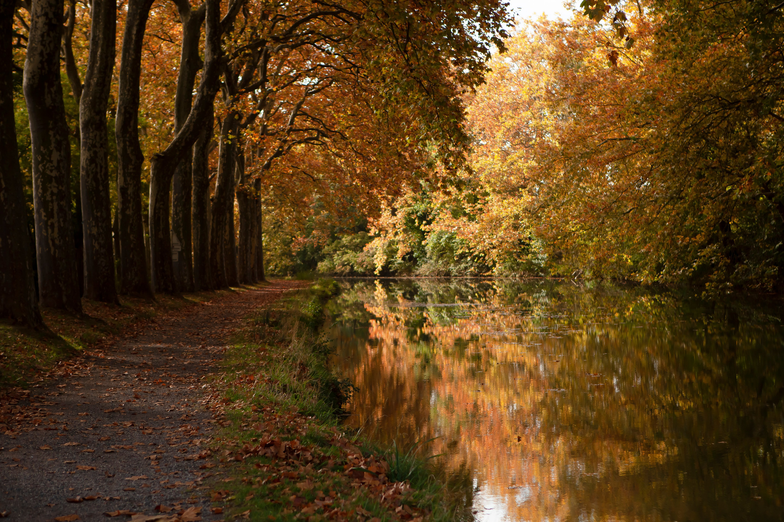 Toulouse. Eugenie Smirnova — wedding, corporate and lifestyle photographer in Toulouse and Southwest France