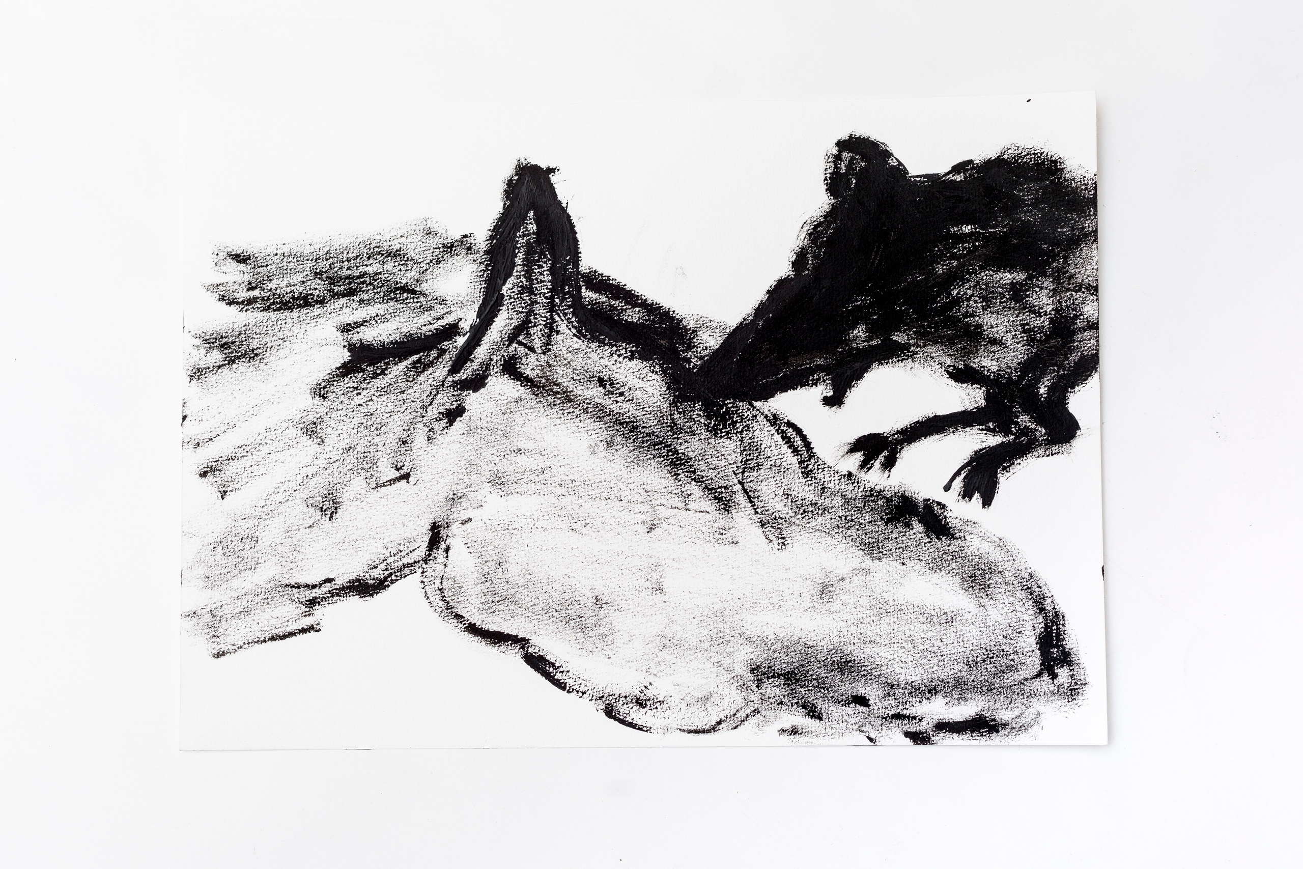 The Buttle, 2018. Haim Sokol’s artists website