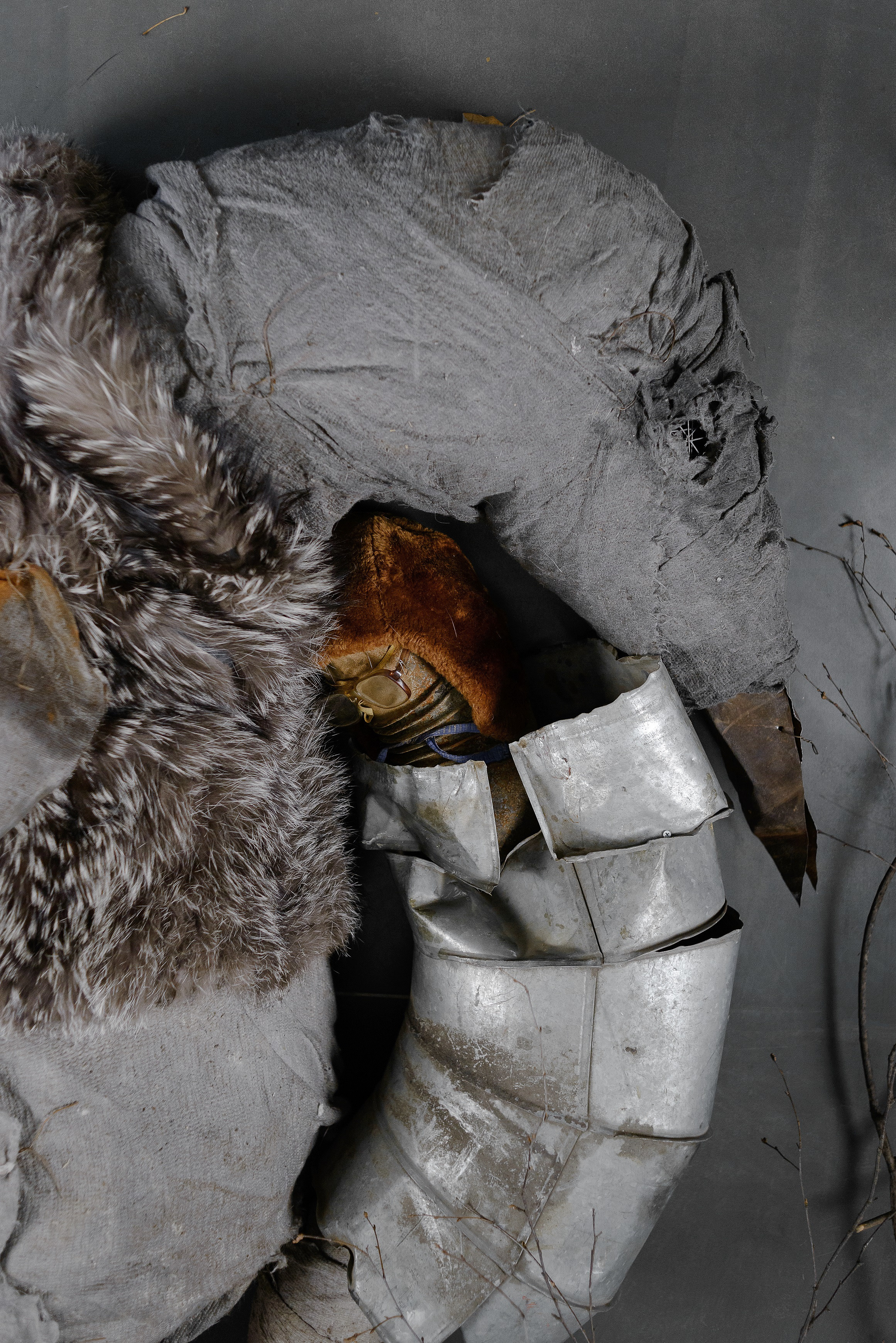 The bird and the boy, 2019. Haim Sokol’s artists website