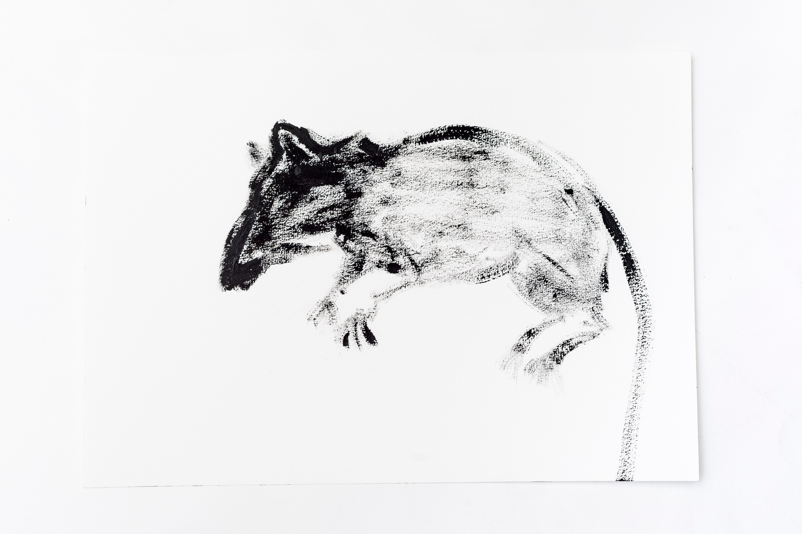 The Buttle, 2018. Haim Sokol’s artists website