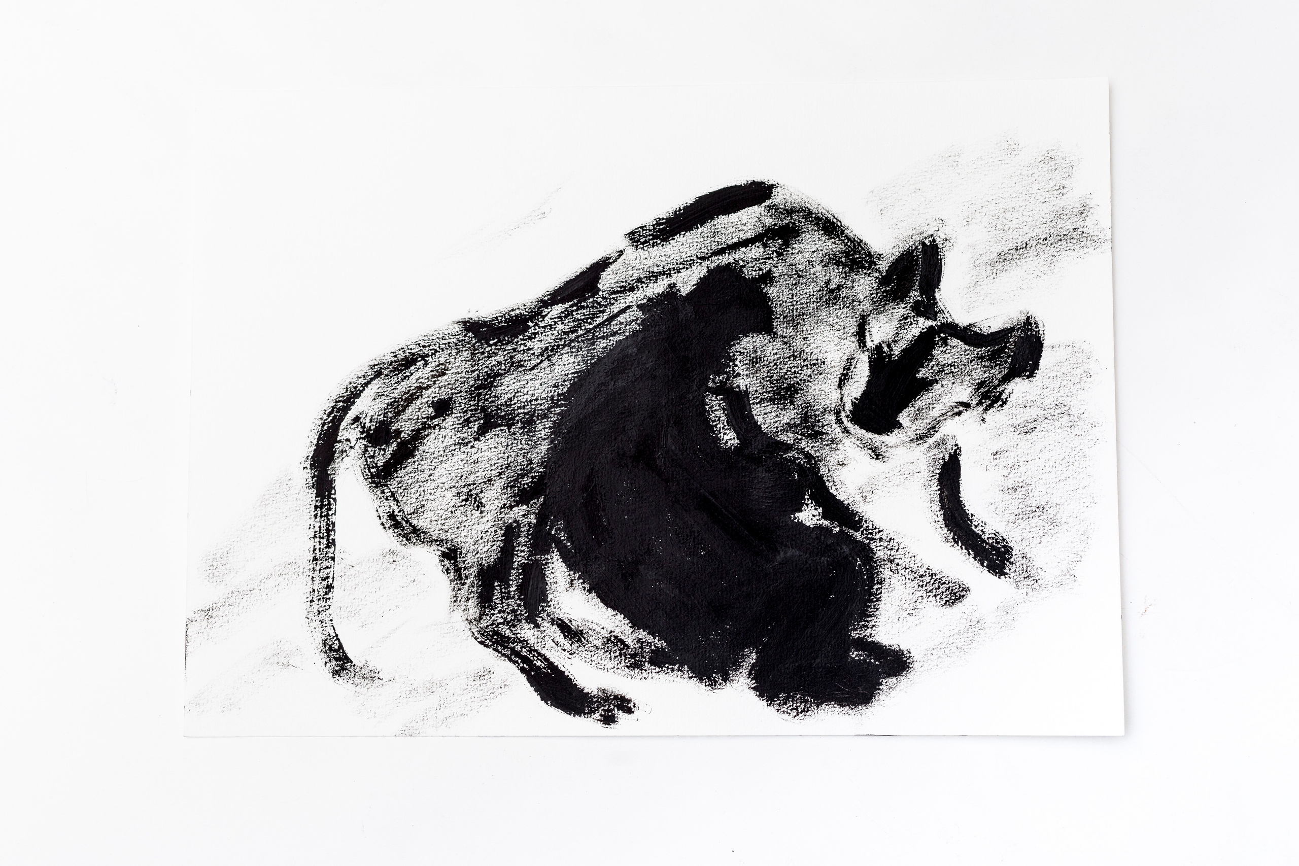 The Buttle, 2018. Haim Sokol’s artists website