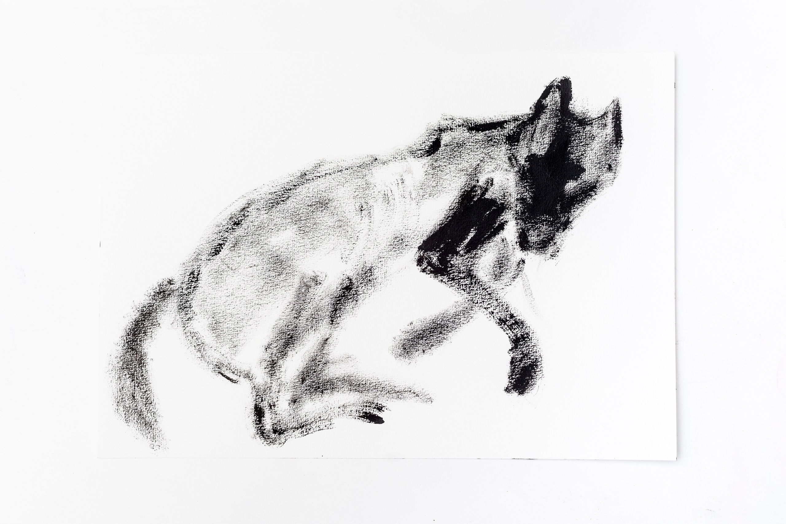 The Buttle, 2018. Haim Sokol’s artists website