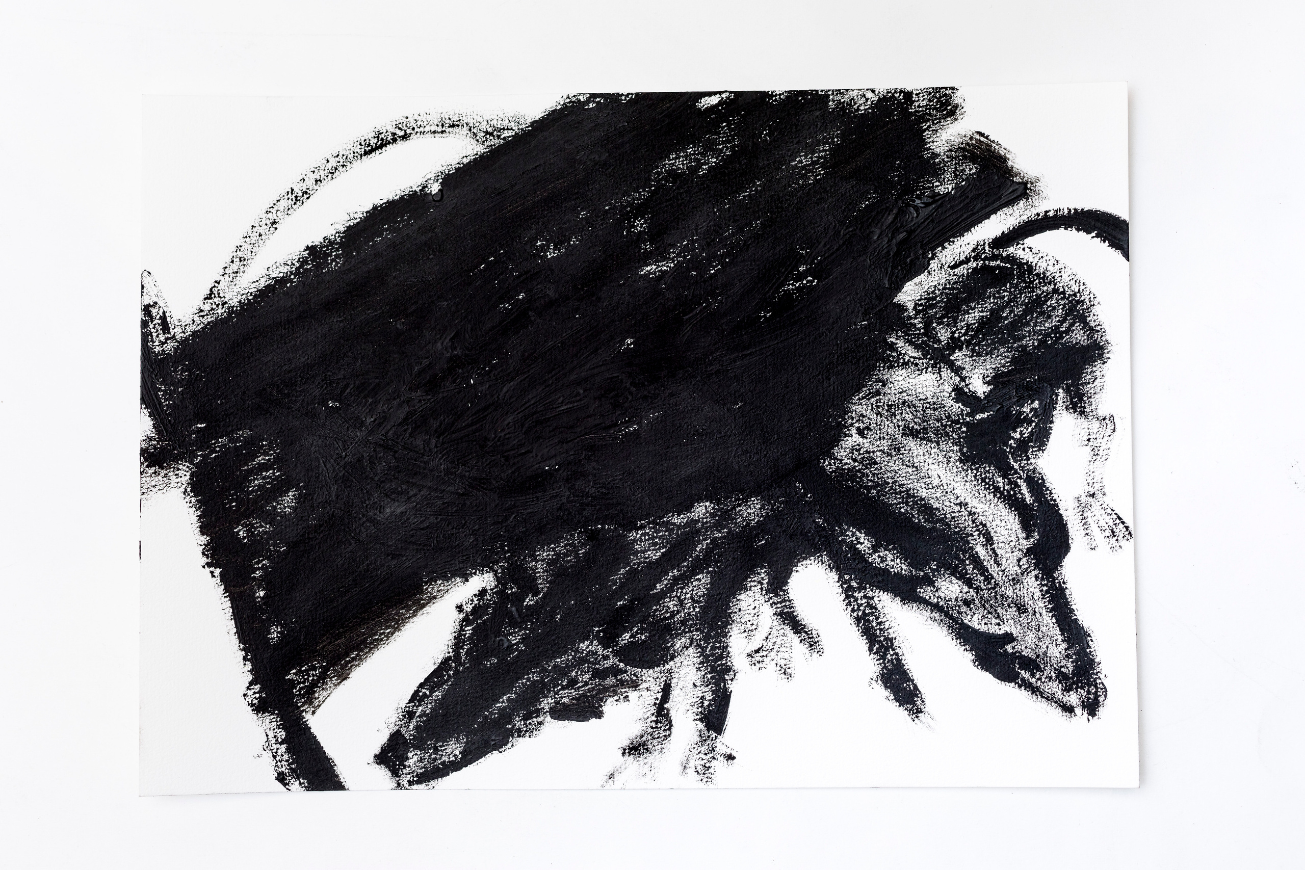 The Buttle, 2018. Haim Sokol’s artists website