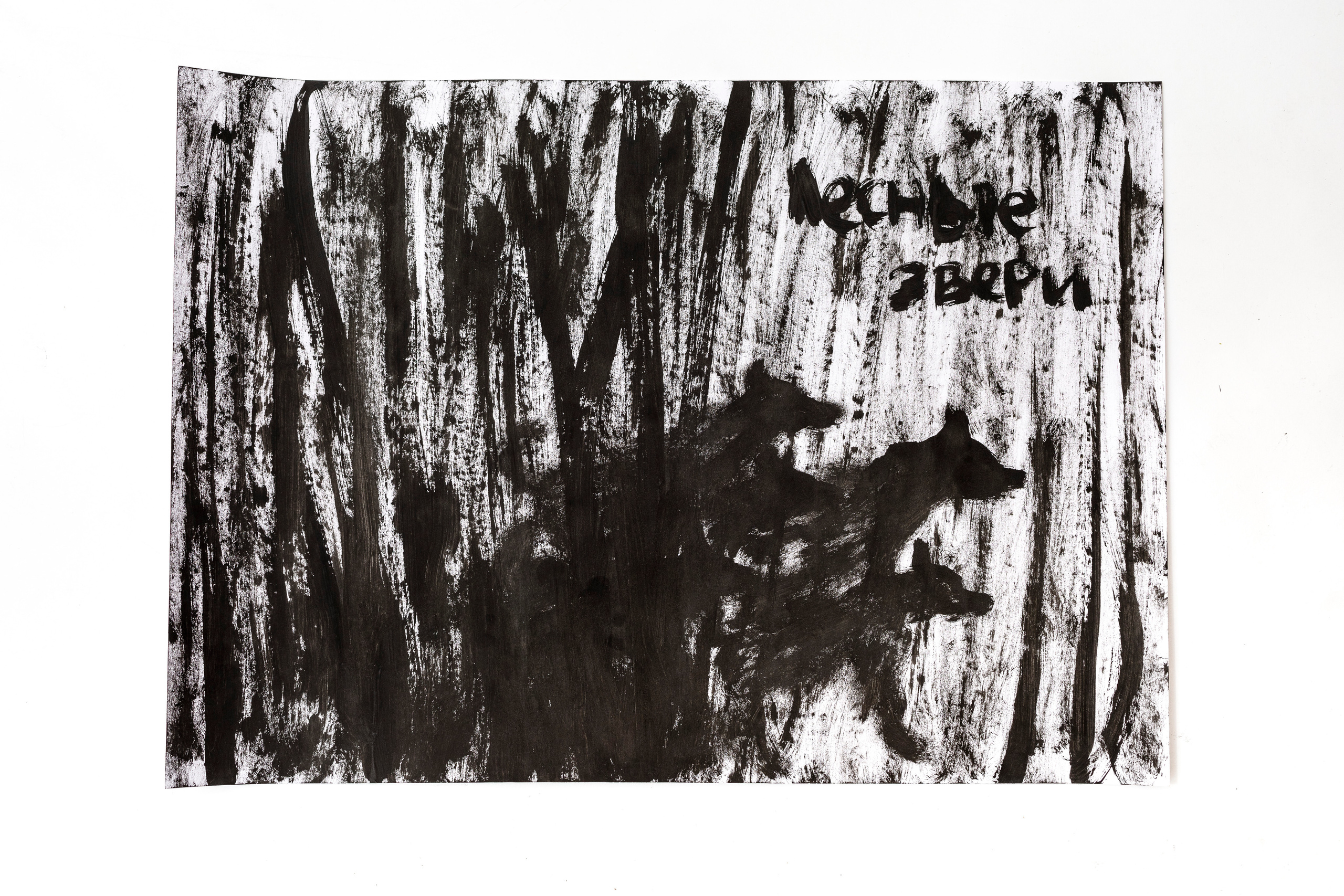 Haim Sokol, חיים סוקול, Хаим Сокол