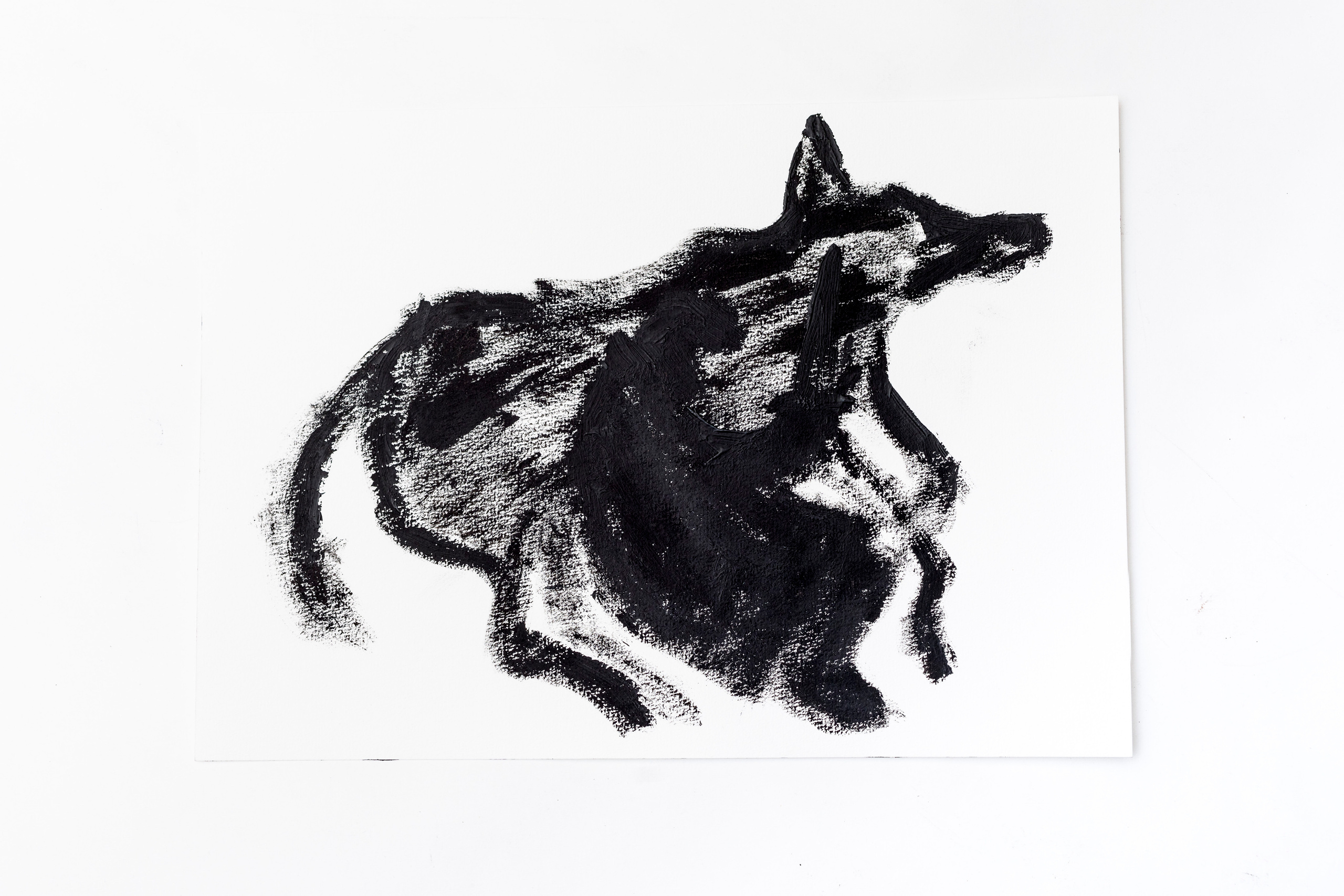 The Buttle, 2018. Haim Sokol’s artists website