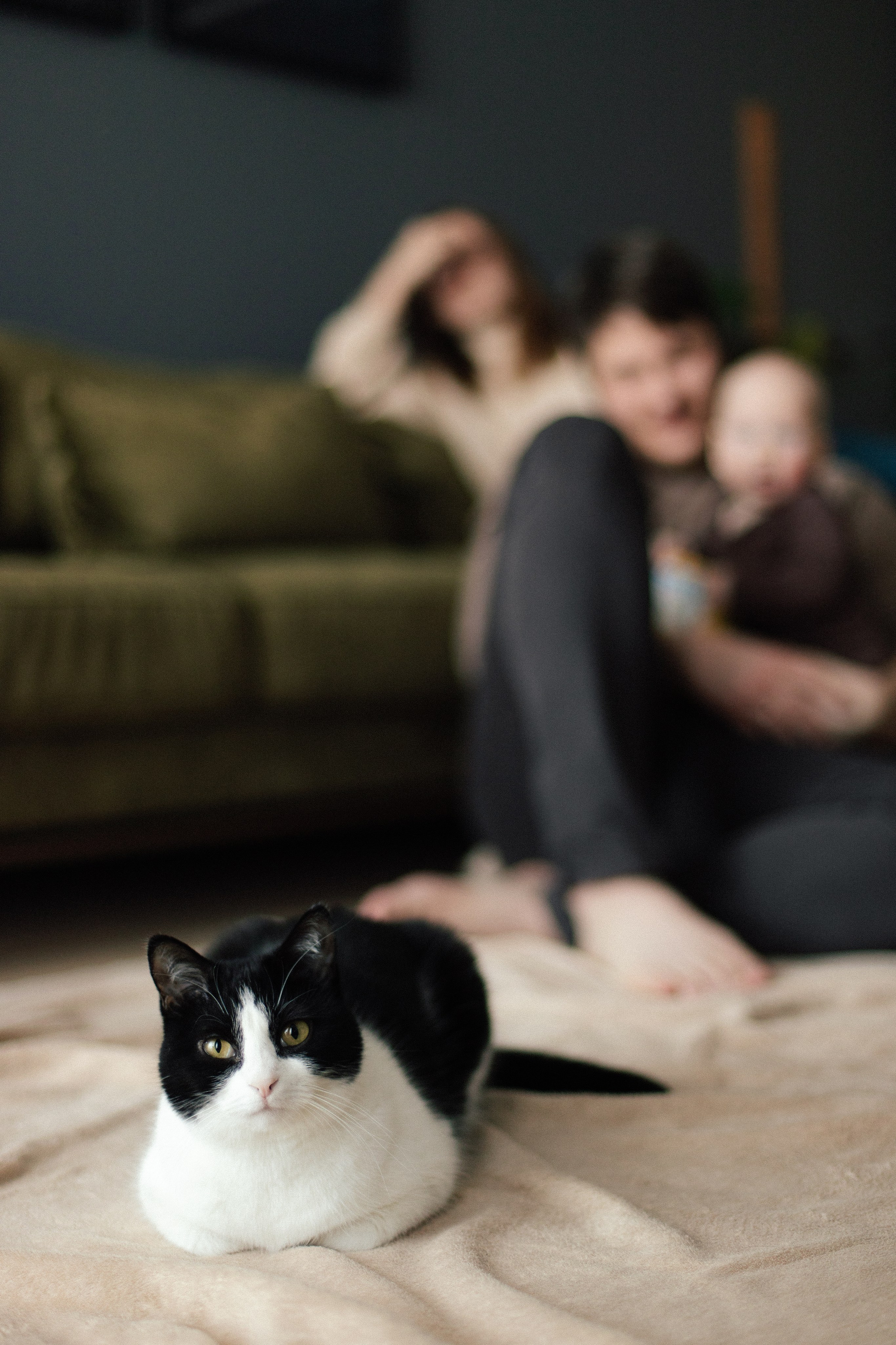 Саша, Леша и Ада. Главная