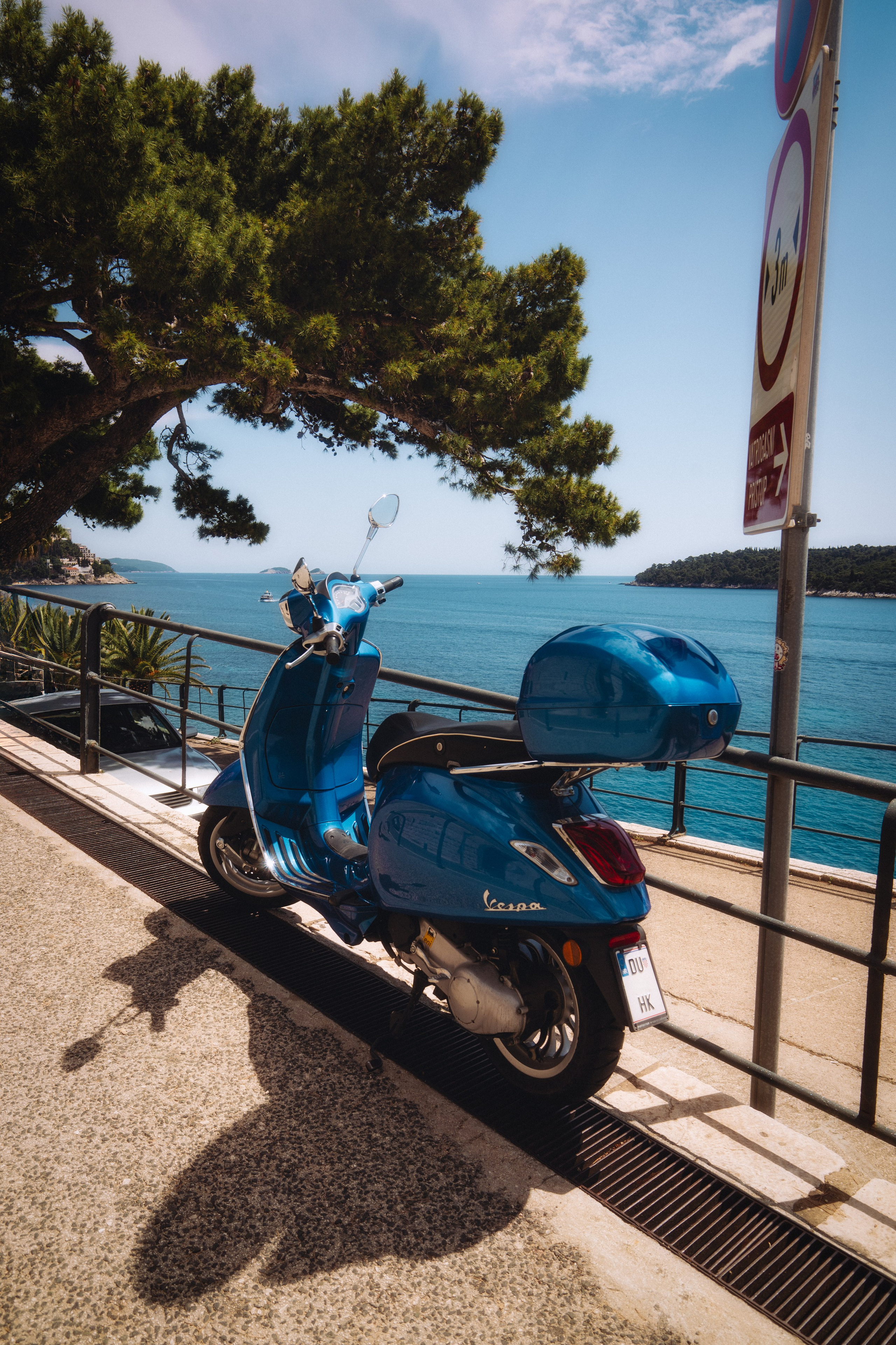 Roaming. Mike Avelli