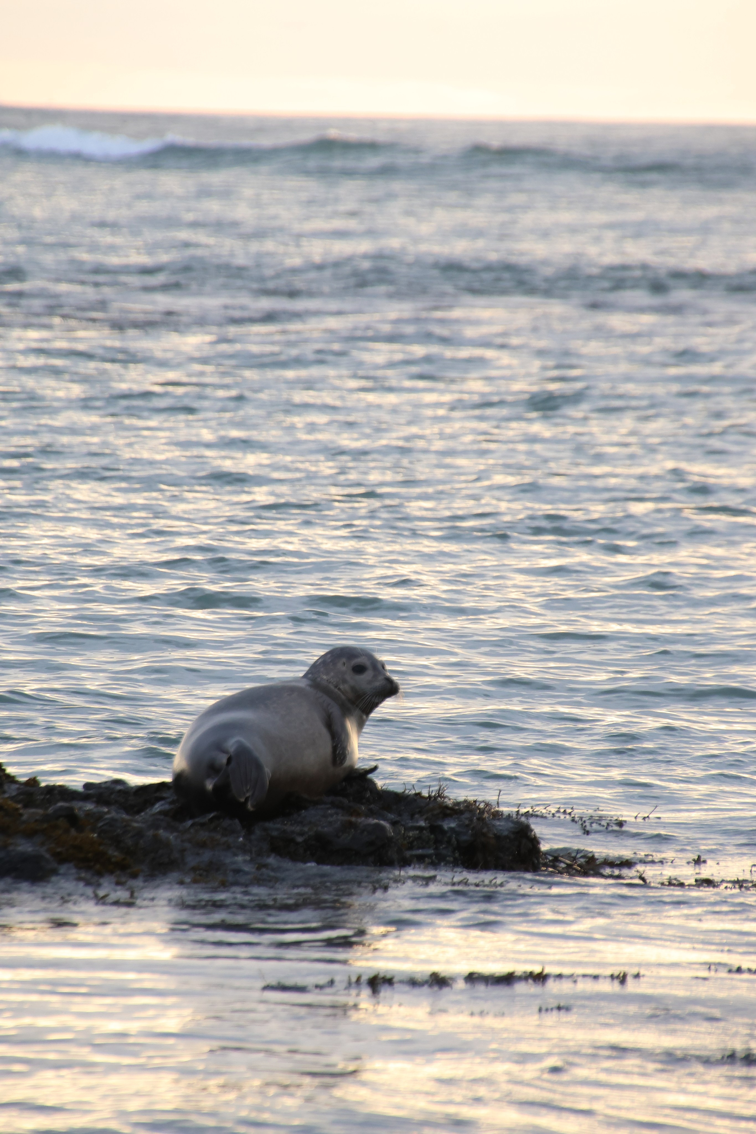 Iceland 2025. Marina, Fotograf aus Nürnberg